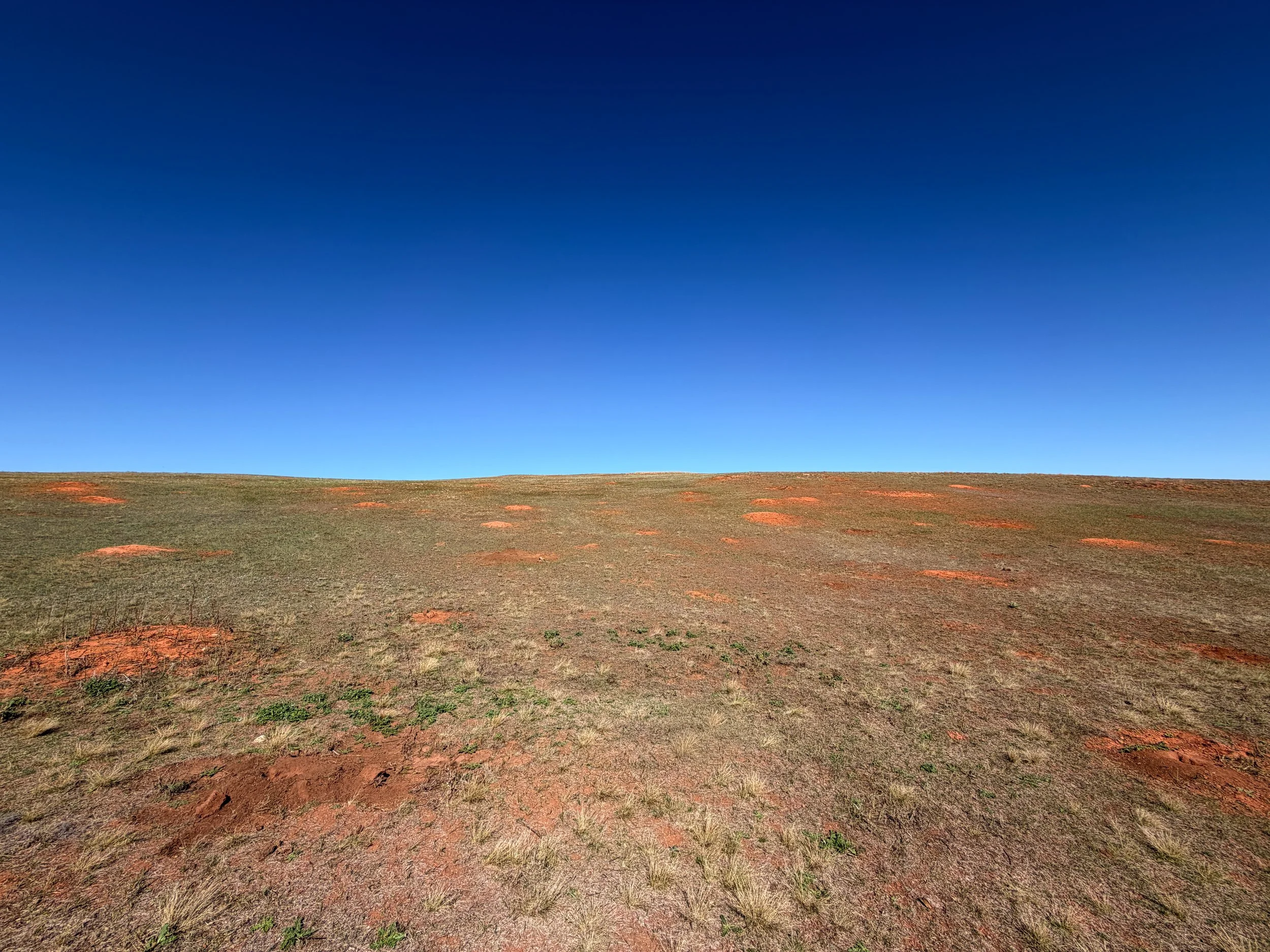 East Bison Flats Trail Wind Cave National Park South Dakota