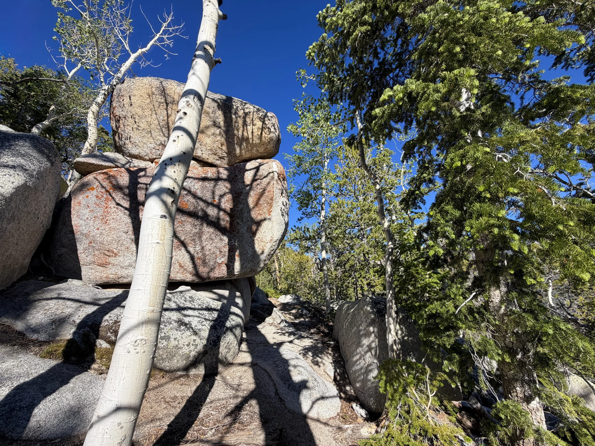 Snake Divide Trail to Mount Washington Great Basin National Park Nevada