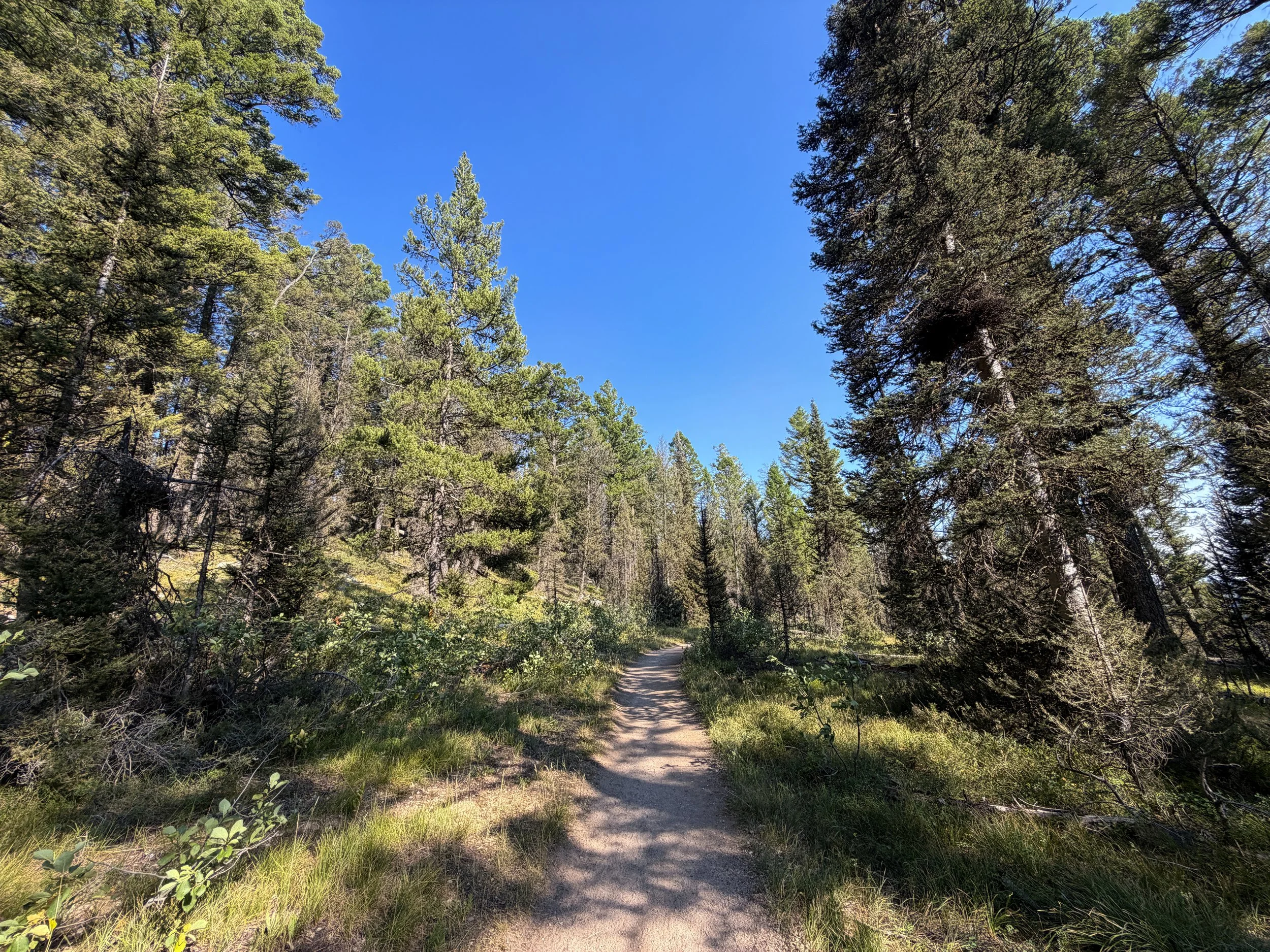 Jenny Lake Trail Grand Teton National Park Wyoming