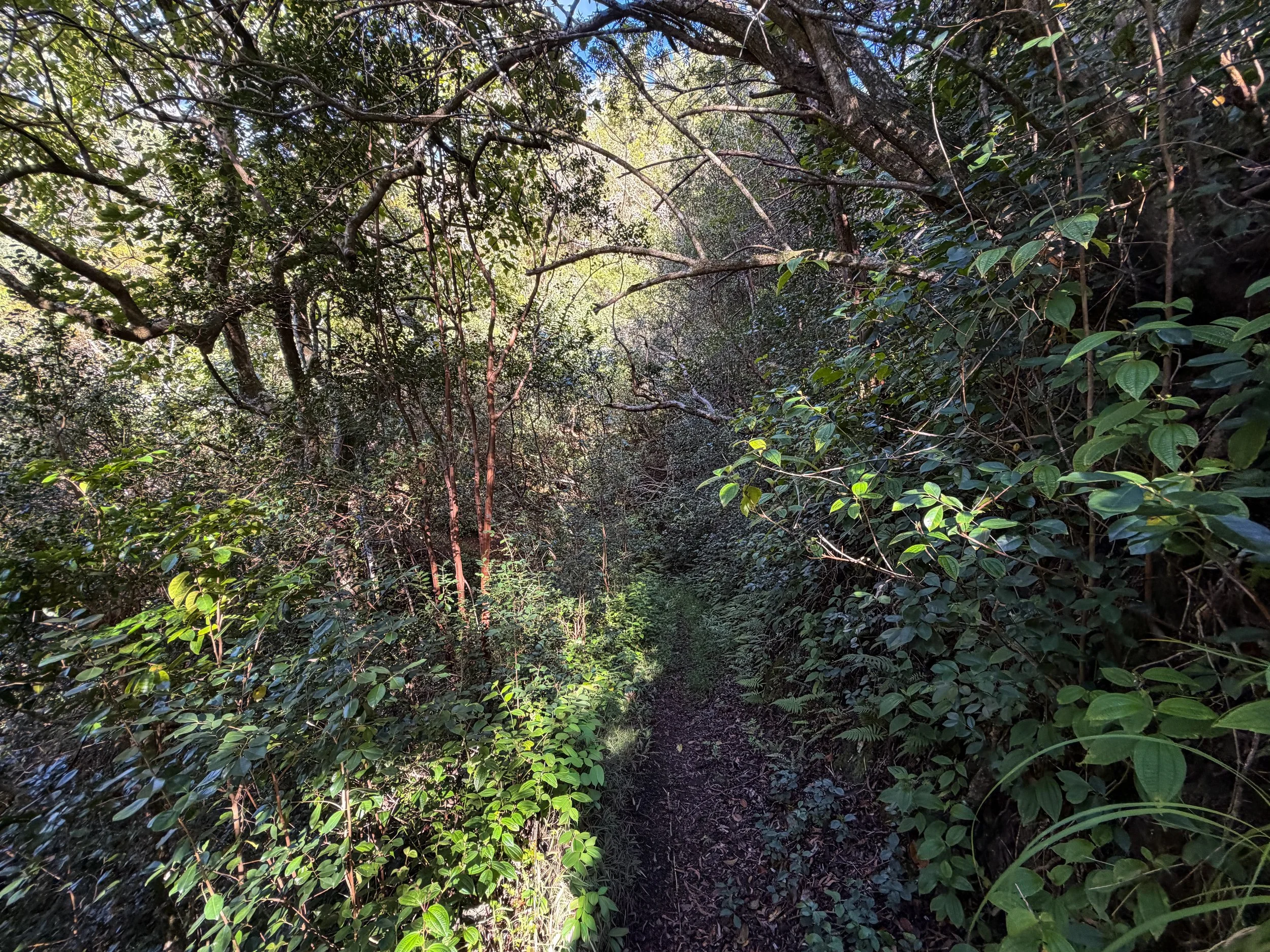 Mokuleia Trail Oahu Hawaii