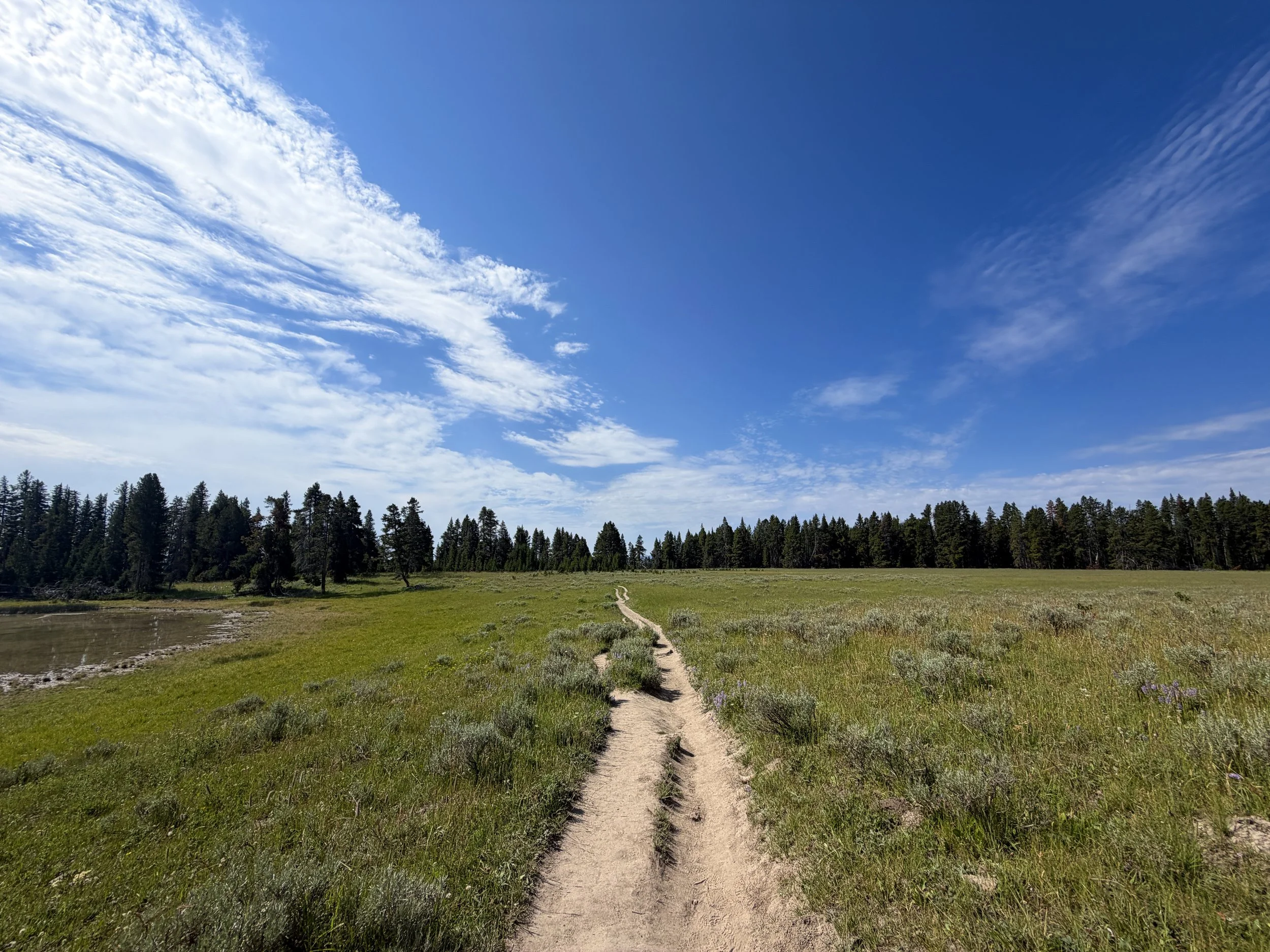 Storm Point Trail Yellowstone National Park Wyoming