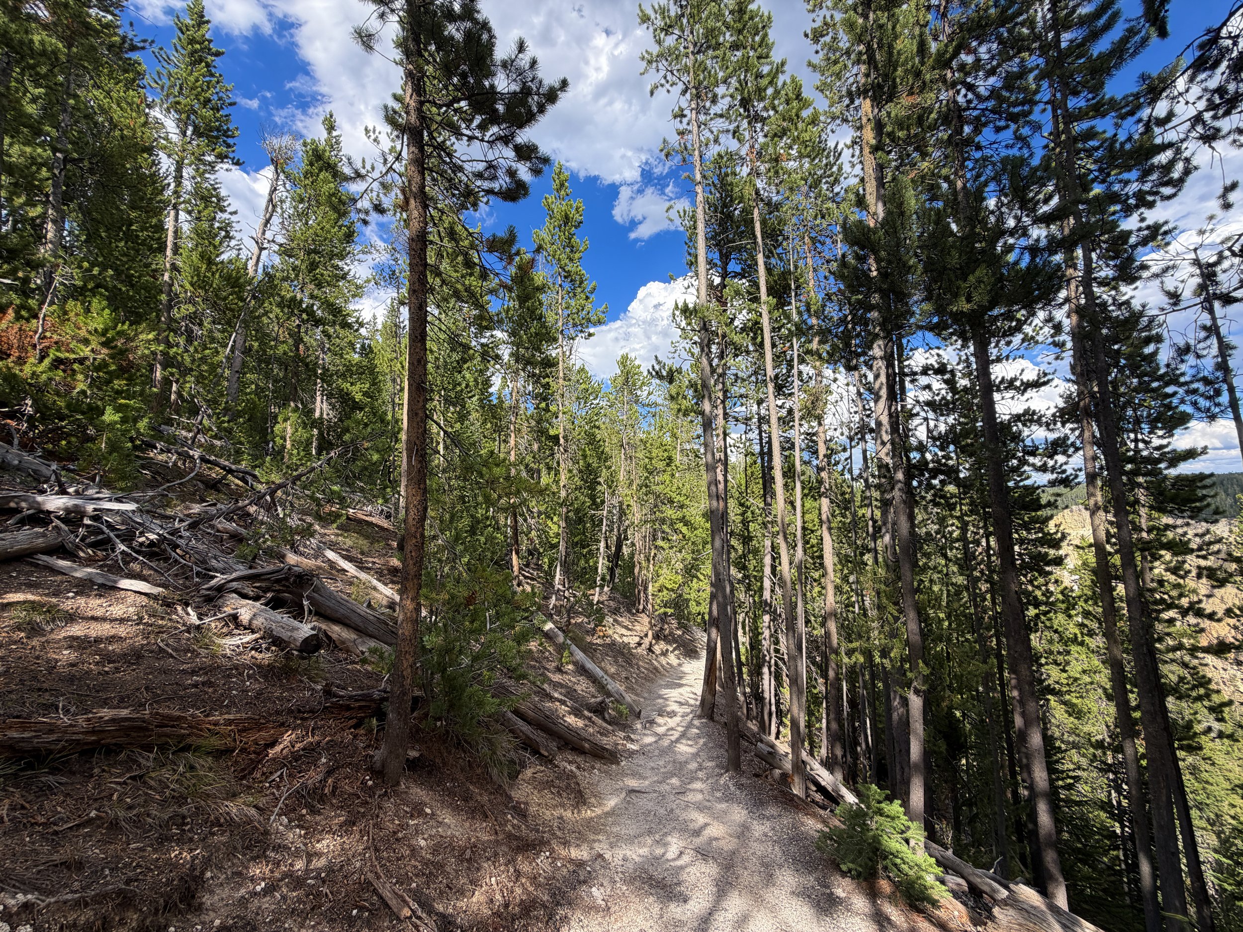 North Rim Trail Yellowstone National Park Wyoming