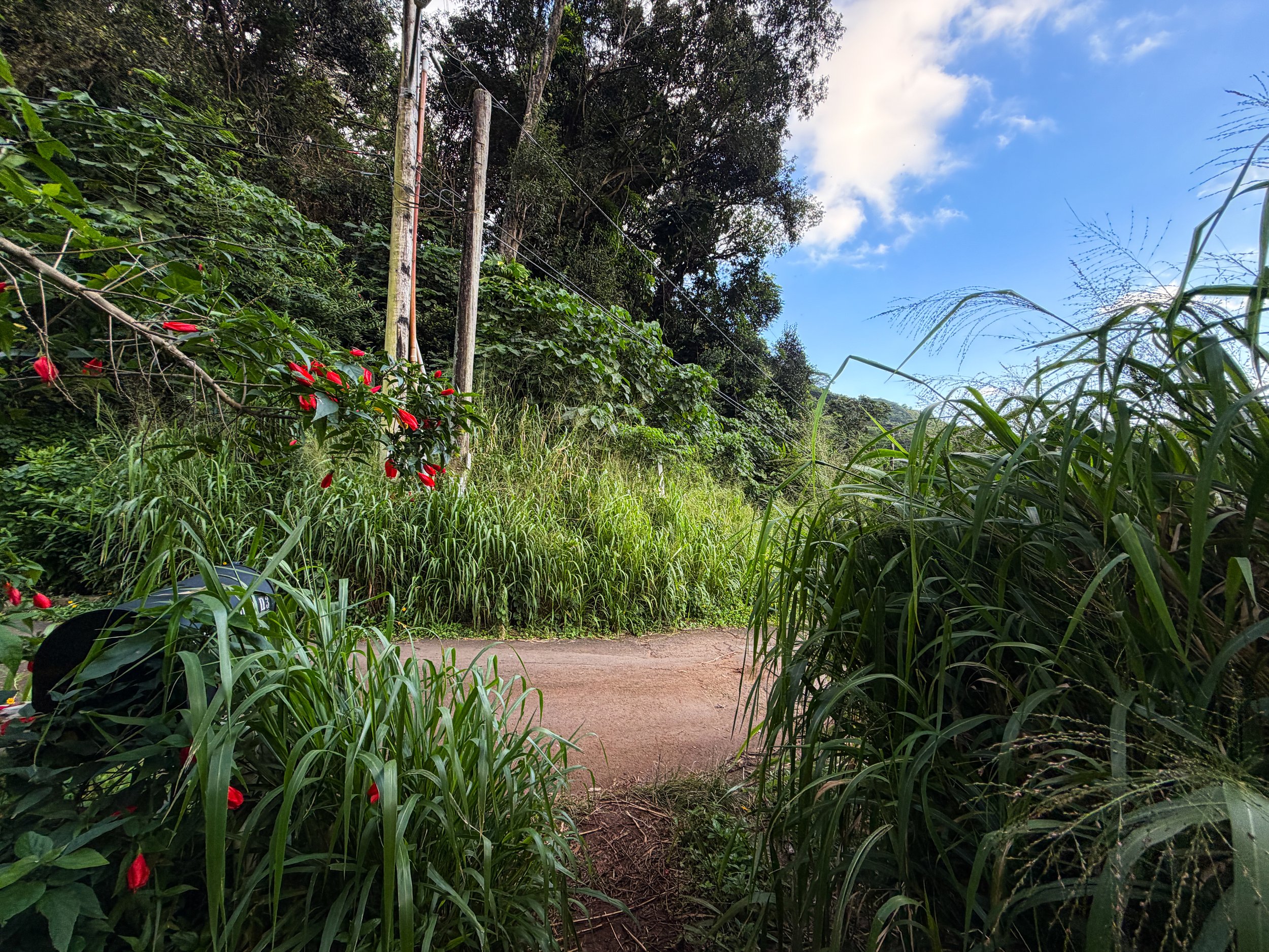 Kaau Crater Trailhead Oahu Hawaii