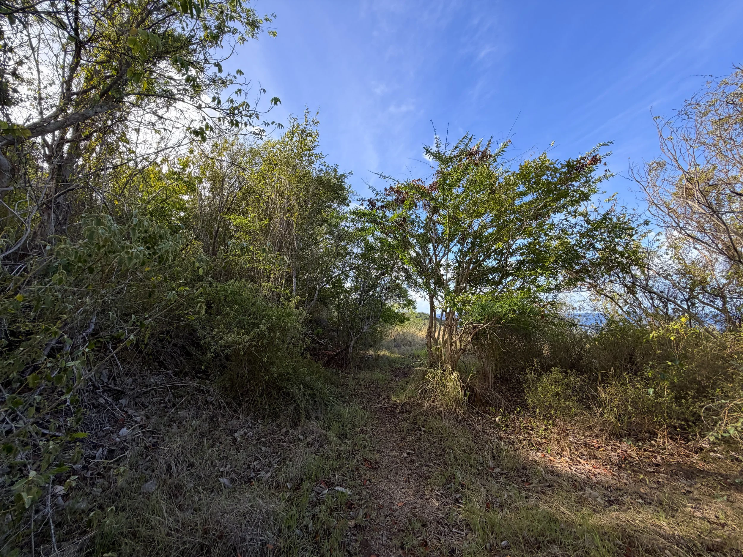 Tektite Trail Virgin Islands National Park