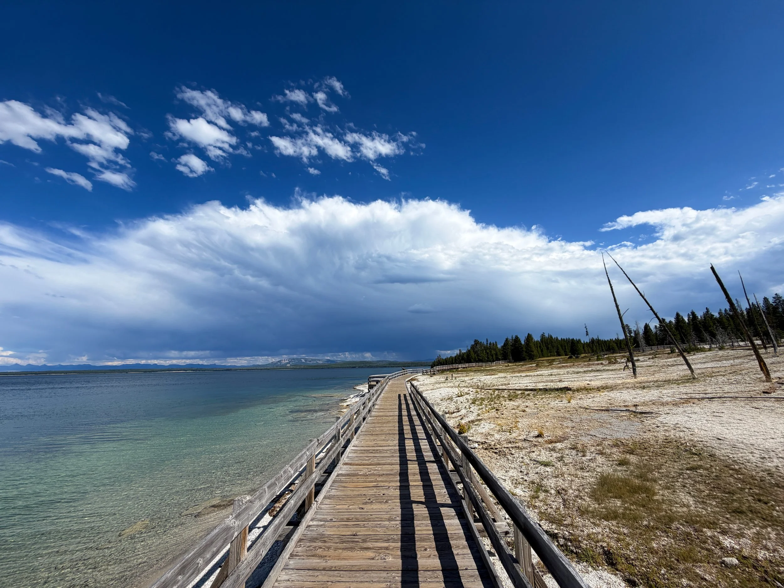 West Thumb Geyser Basin Trail Yellowstone National Park Wyoming