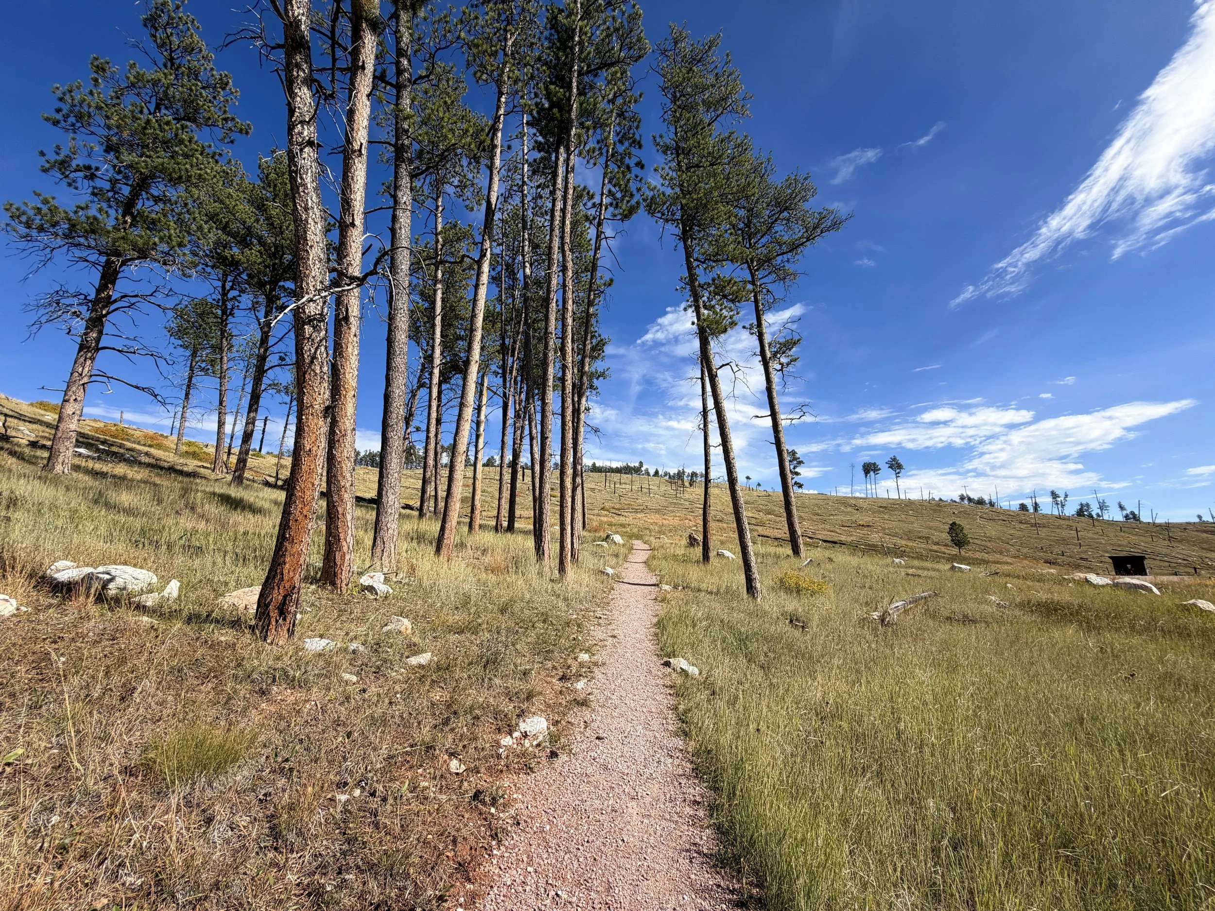 Canyons Trail Jewel Cave National Monument Black Hills South Dakota