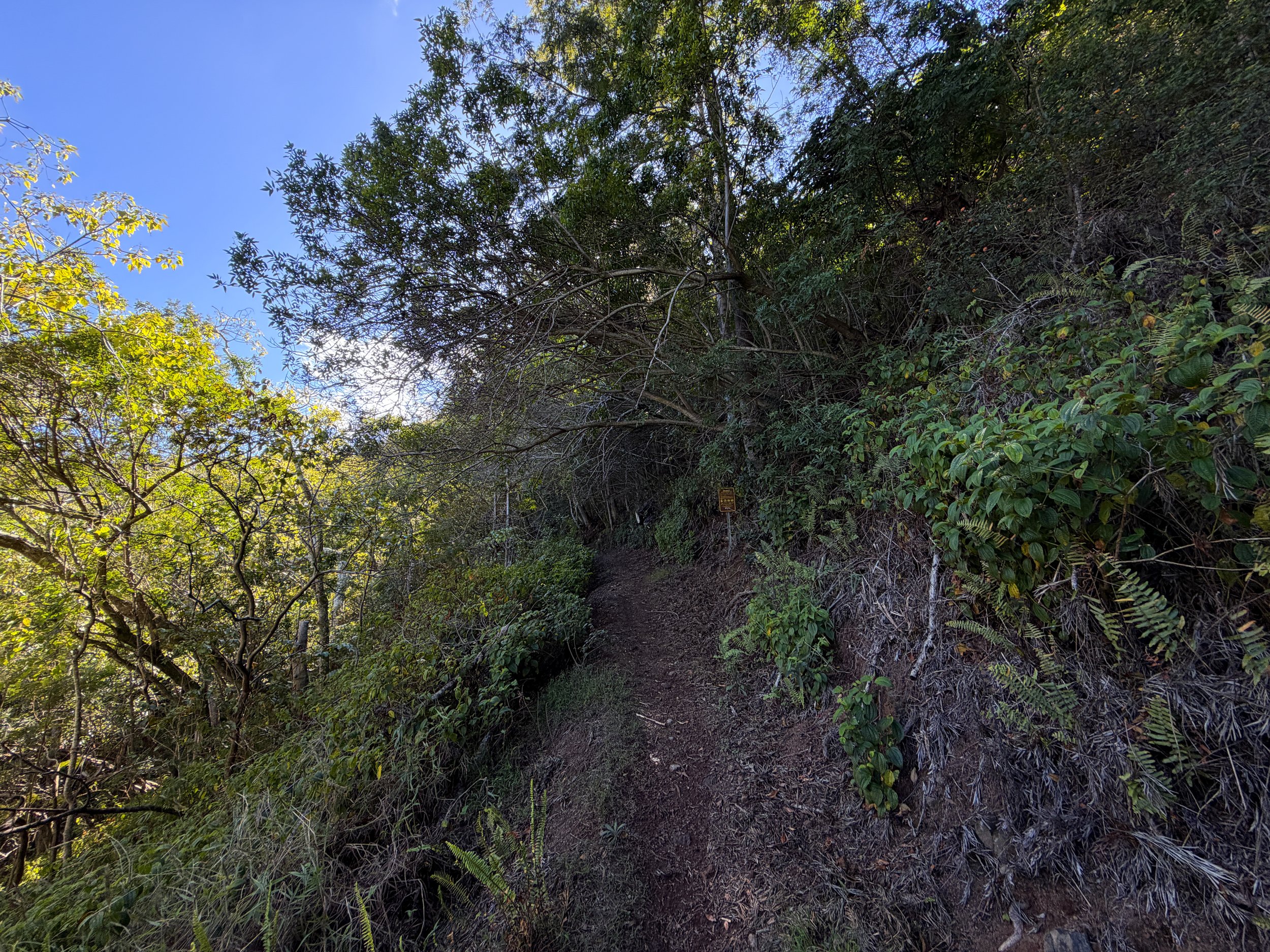 Mokuleia Trail Oahu Hawaii