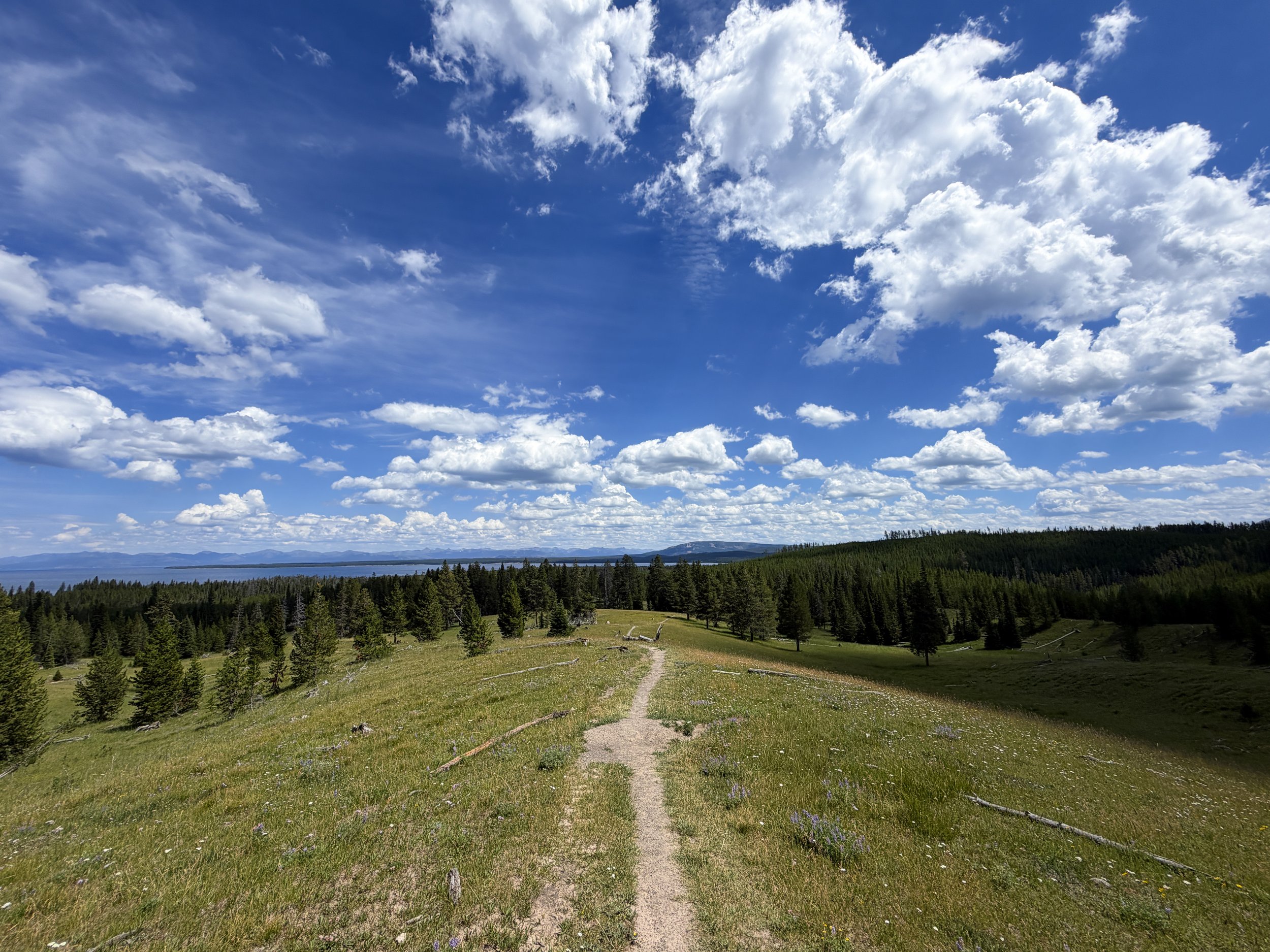 Yellowstone Lake Overlook Trail Yellowstone National Park Wyoming