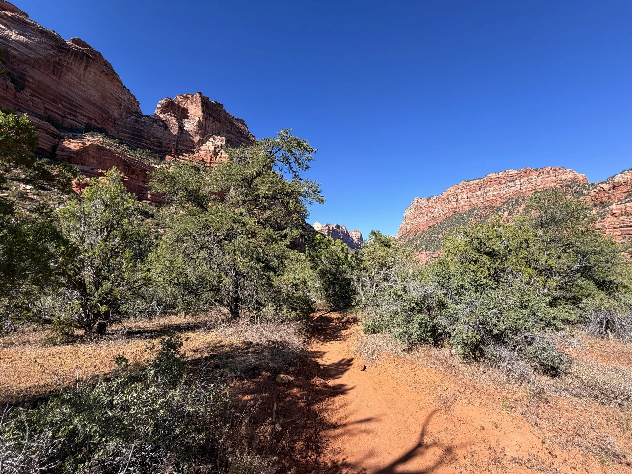 Left Fork Trail to the Subway Zion National Park Utah