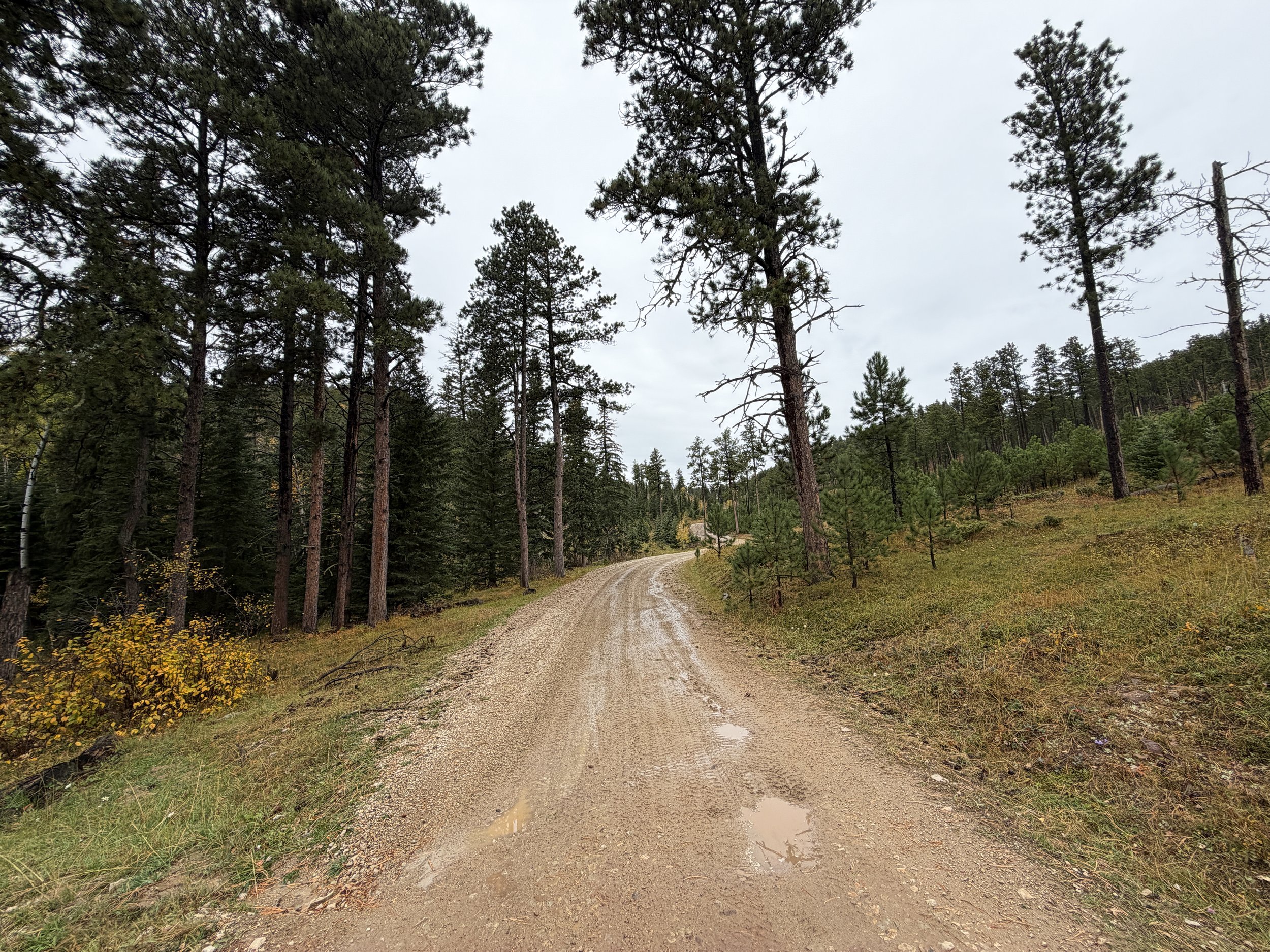 Custer Peak Trail Black Hills South Dakota
