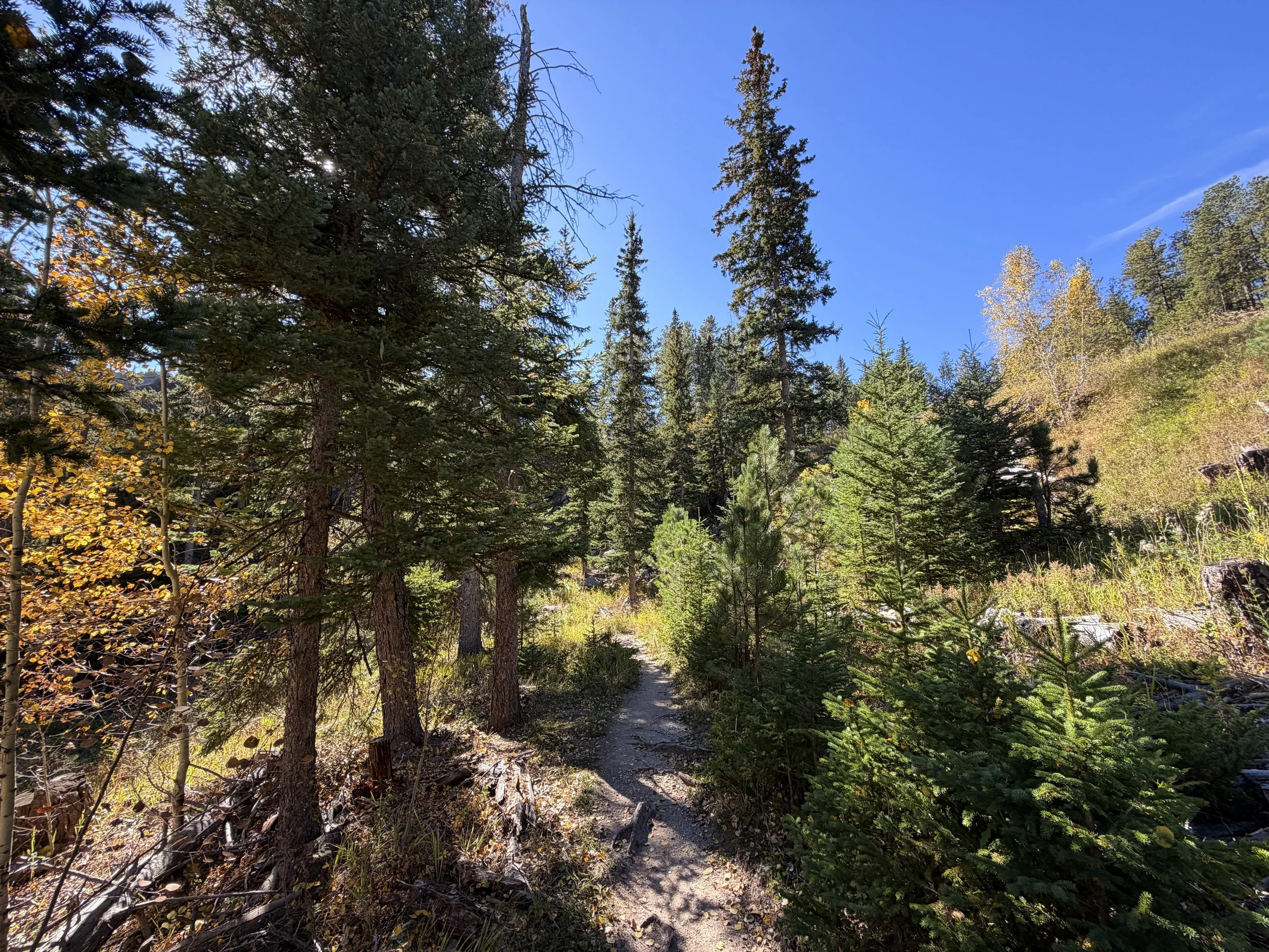 Sunday Gulch Loop Trail Custer State Park Black Hills South Dakota