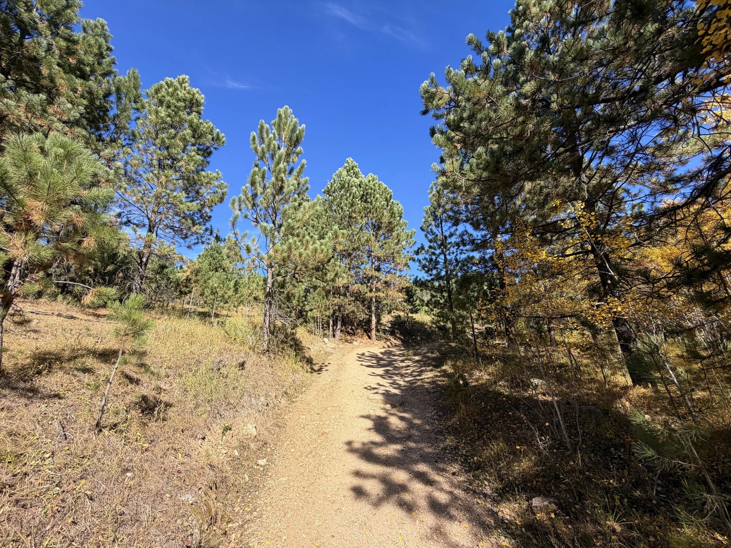 Black Elk Peak Trail Custer State Park Black Hills South Dakota