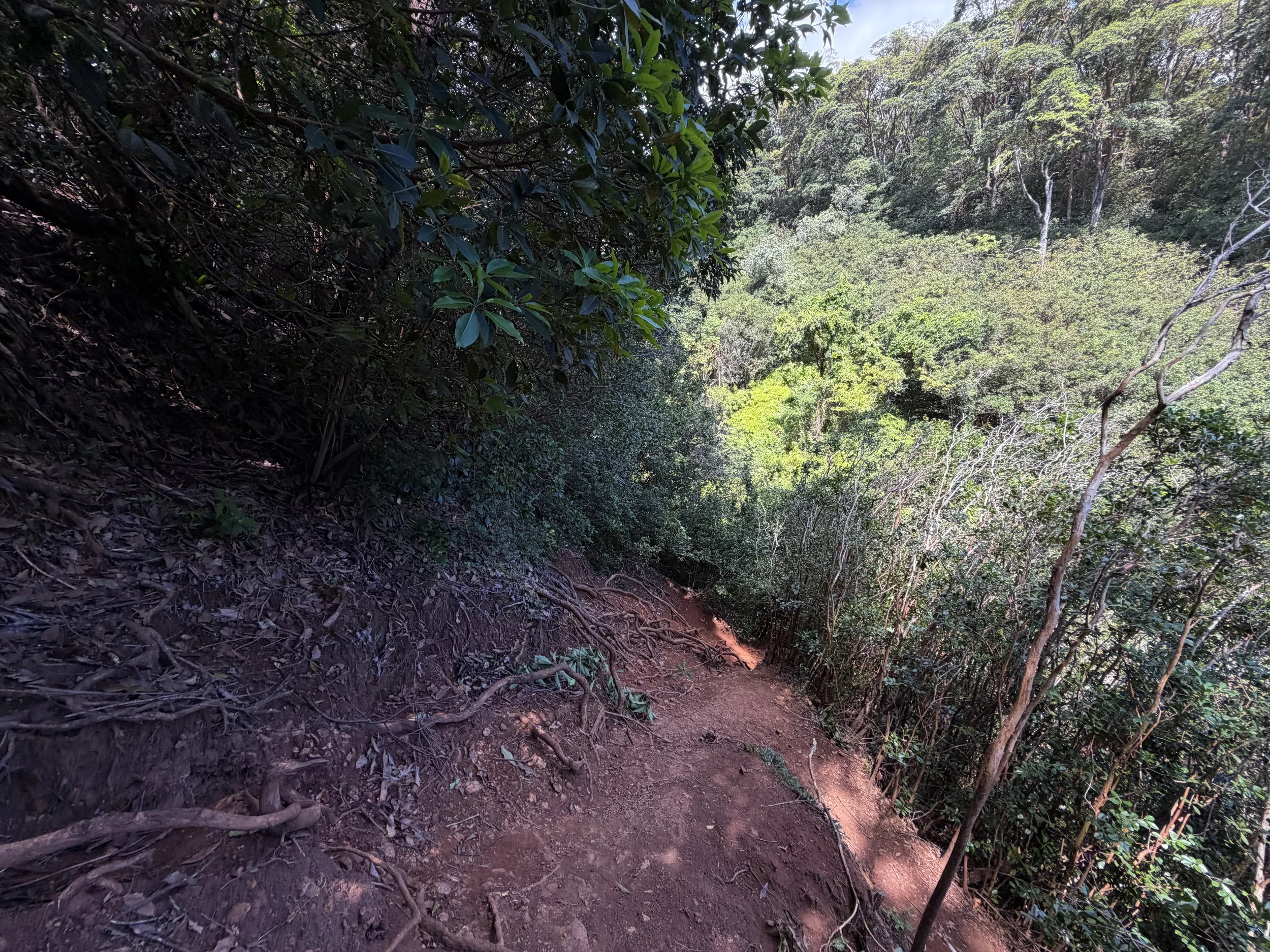 Waimano Falls Hike Oahu Hawaii