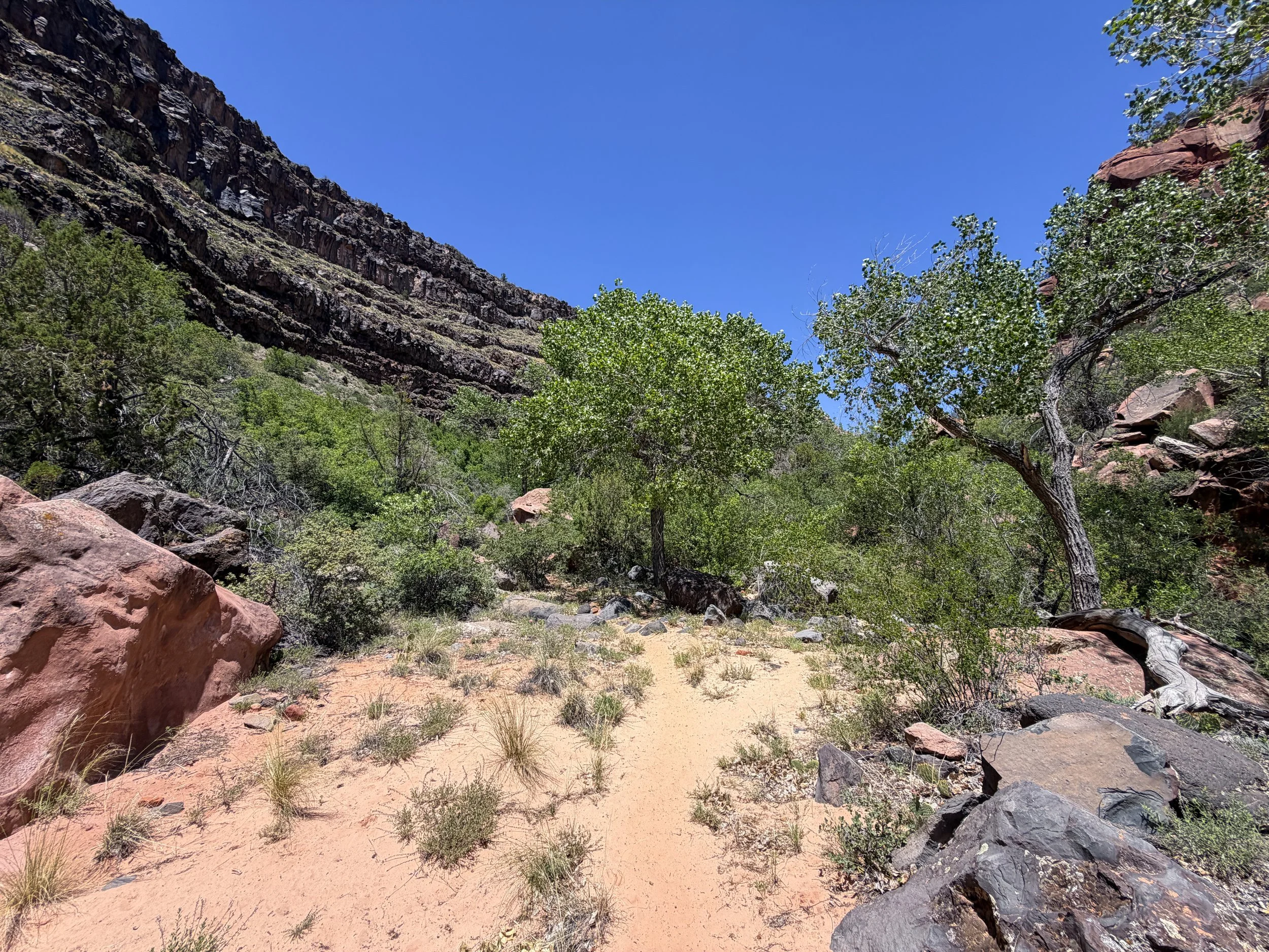 Grapevine Hike to Left Fork Falls Zion National Park Utah