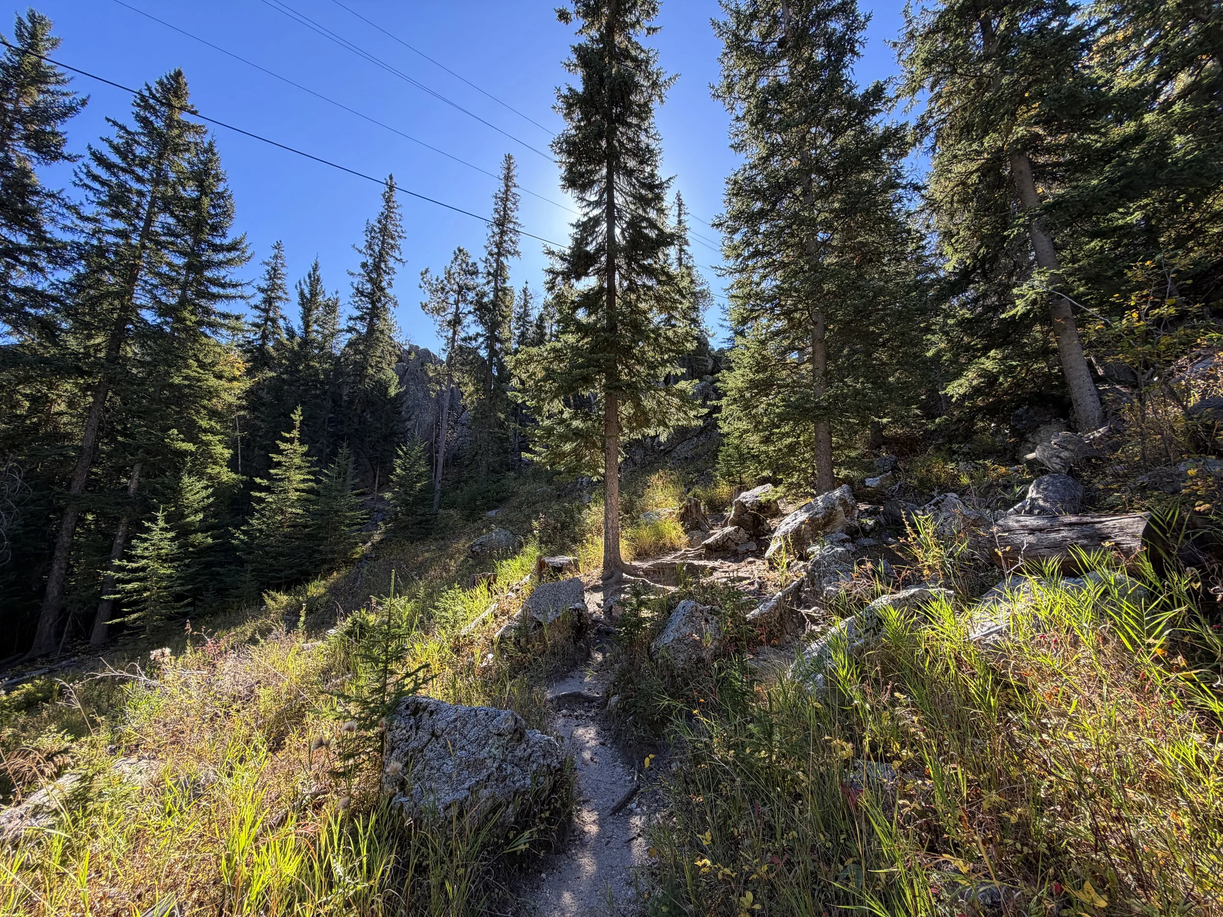 Sunday Gulch Loop Trail Custer State Park Black Hills South Dakota