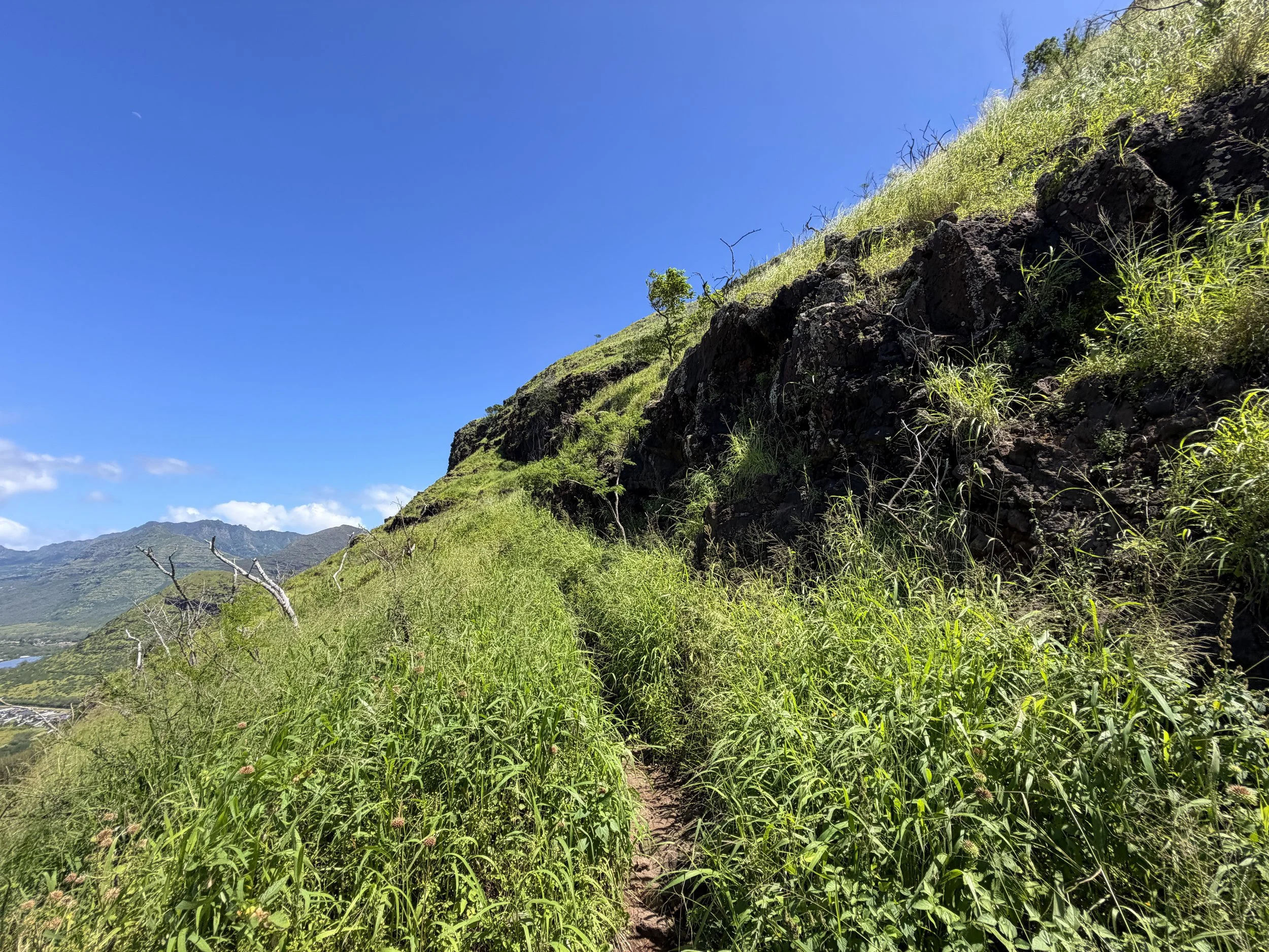 Pink Pillbox Hike Oahu Hawaii