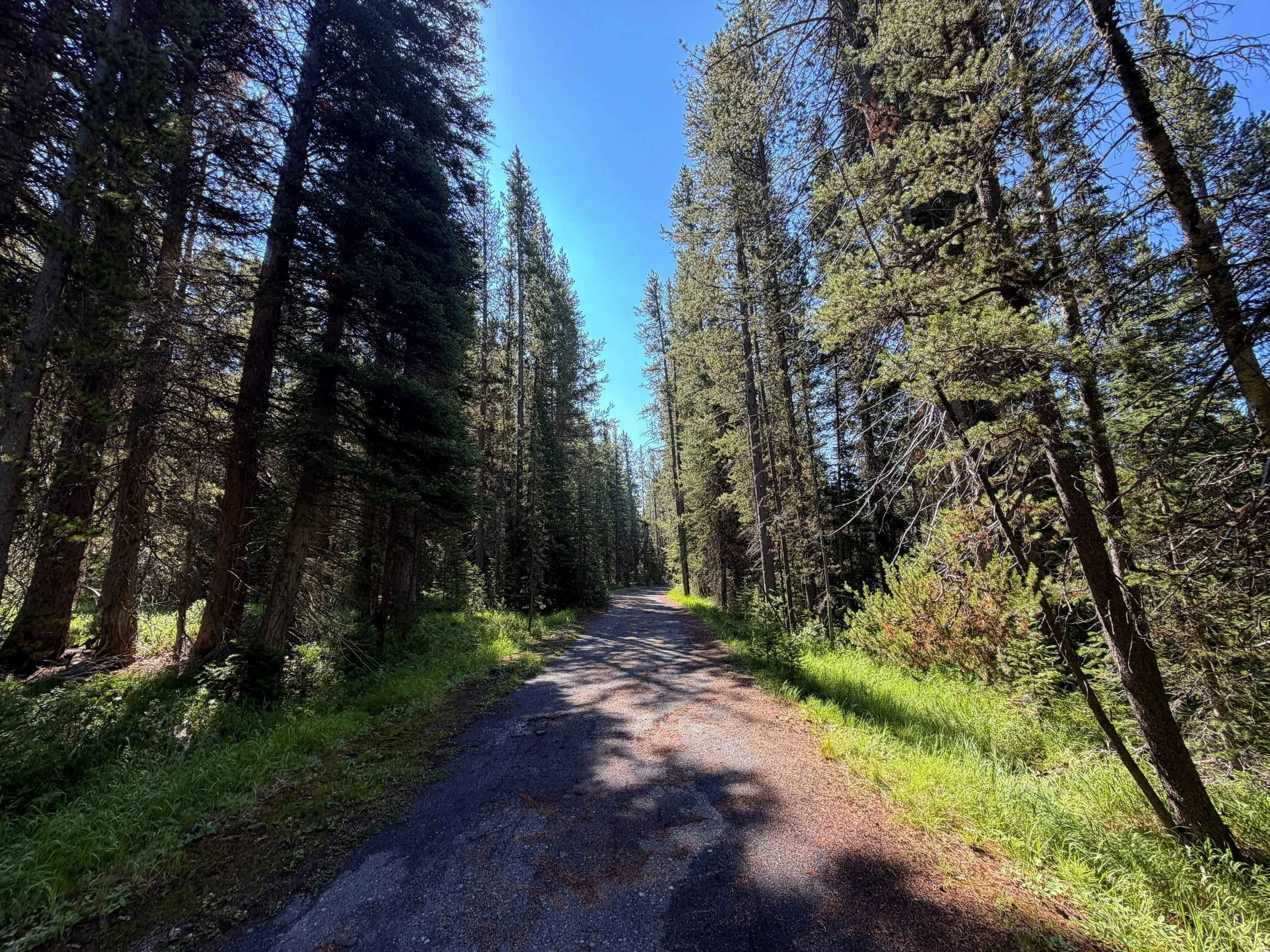 Lone Star Geyser Trail Yellowstone National Park Wyoming
