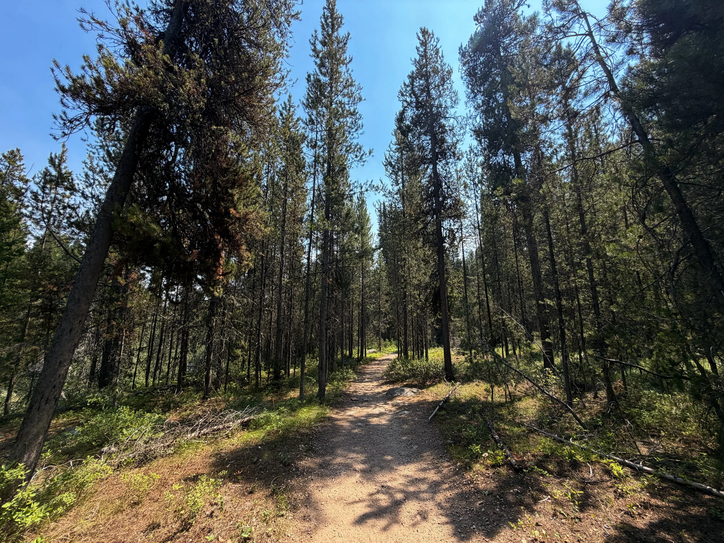 Phelps Lake Loop Trail Grand Teton National Park Wyoming