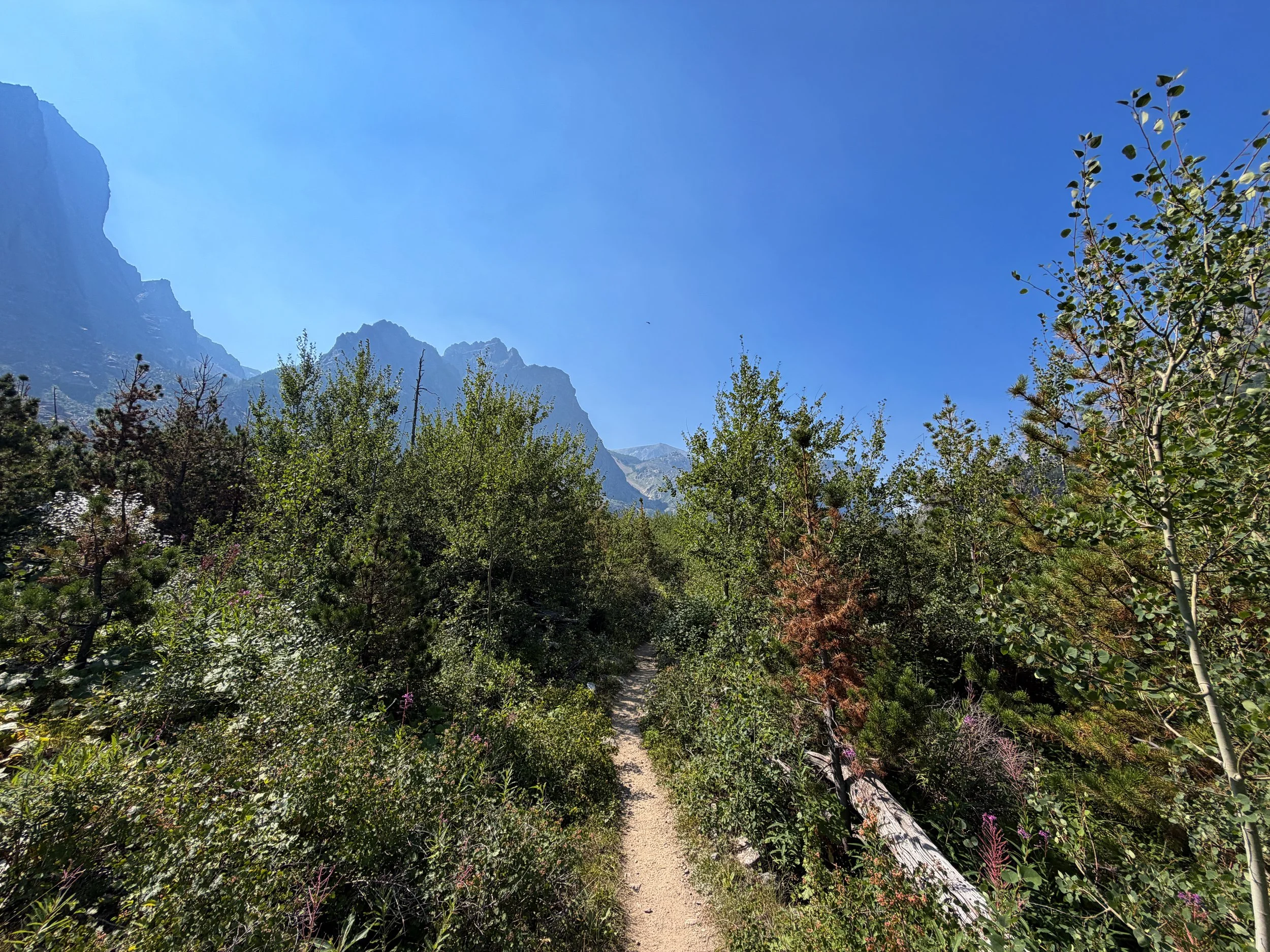 The Beaten Path Hike Beartooth Mountains Montana