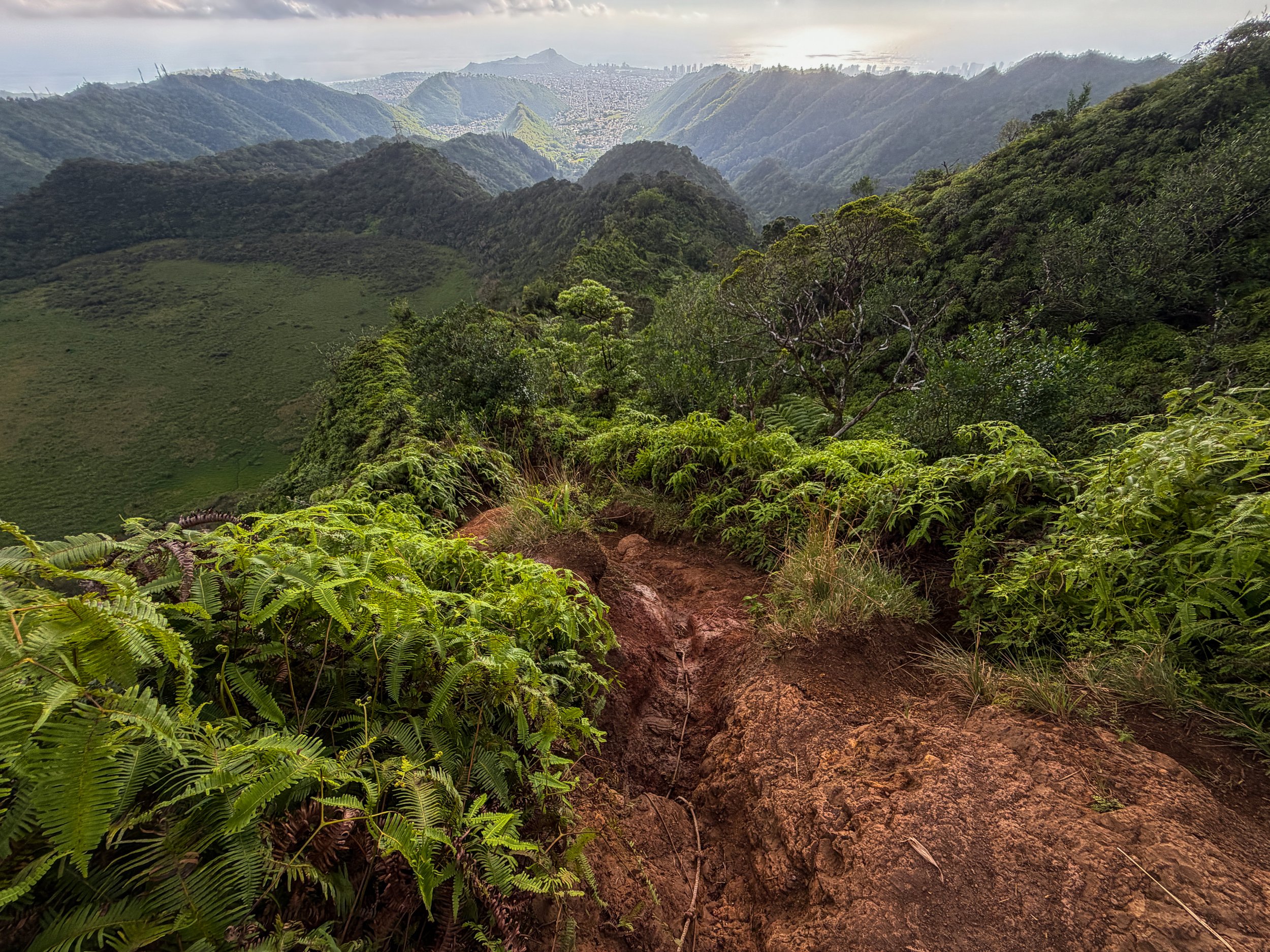Kaau Crater Trail Ropes Oahu Hawaii