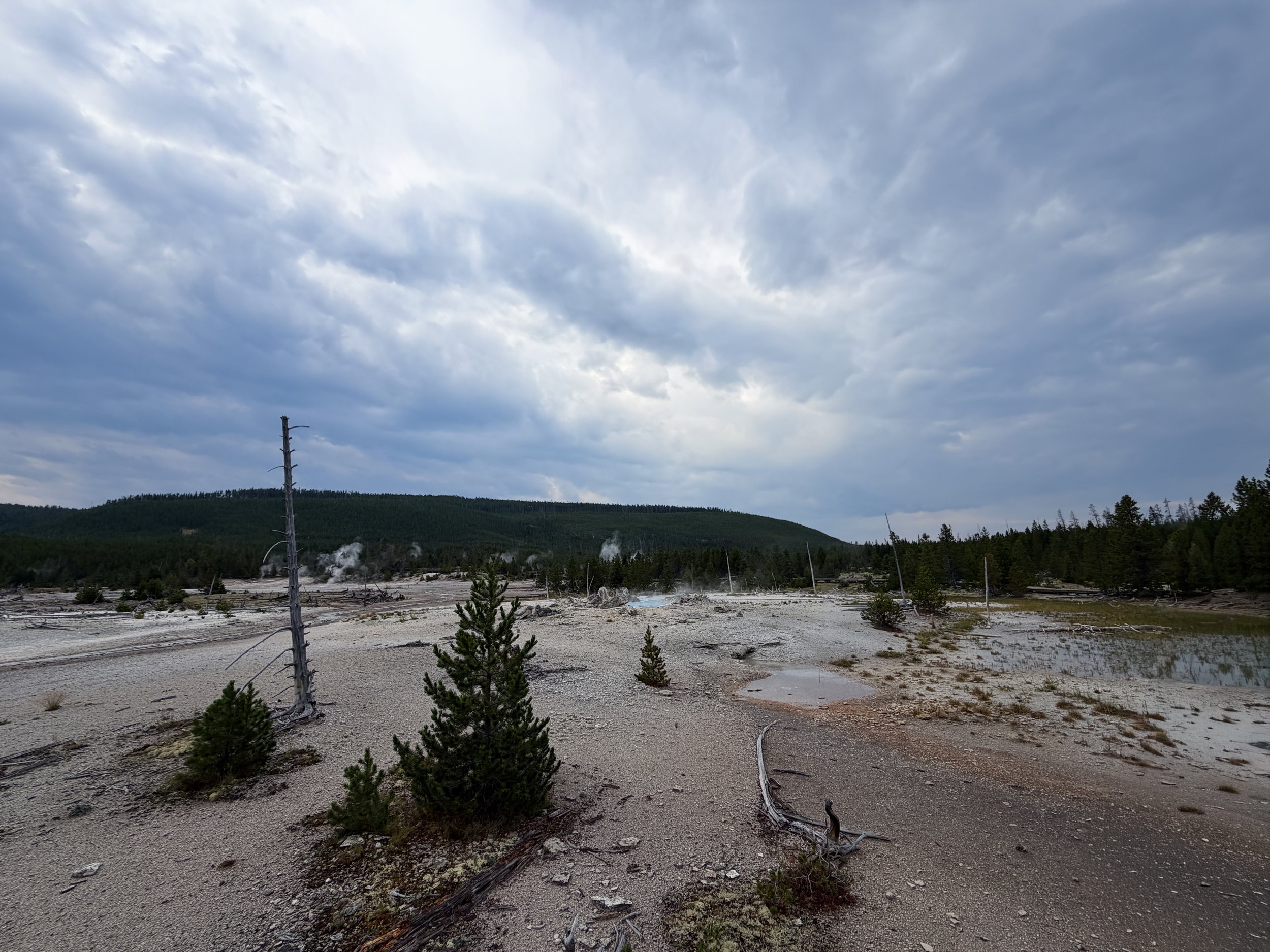 Porkchop Geyser Norris Geyser Basin Trail Yellowstone National Park Wyoming