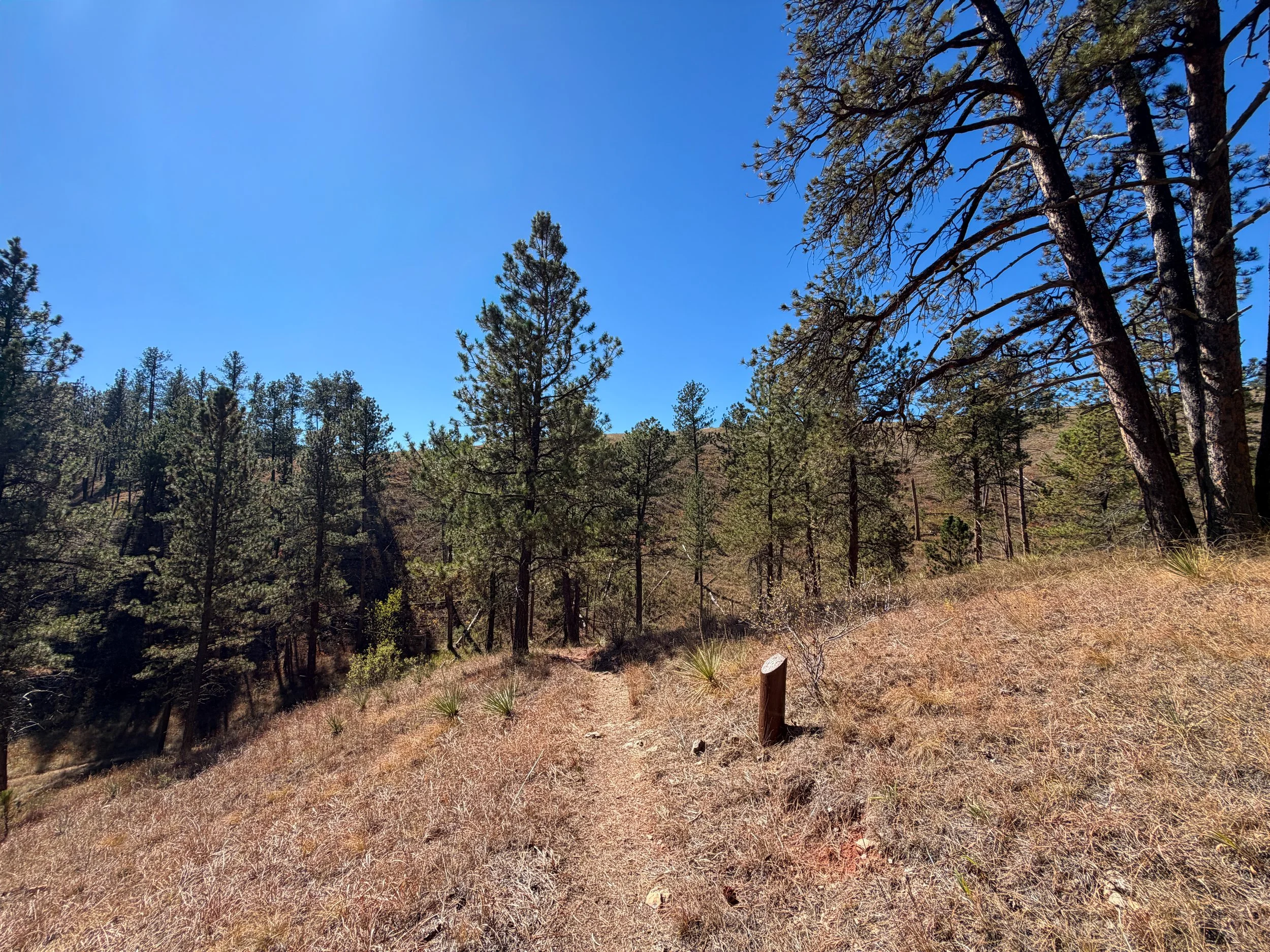 Elk Mountain Campground Trail Wind Cave National Park South Dakota