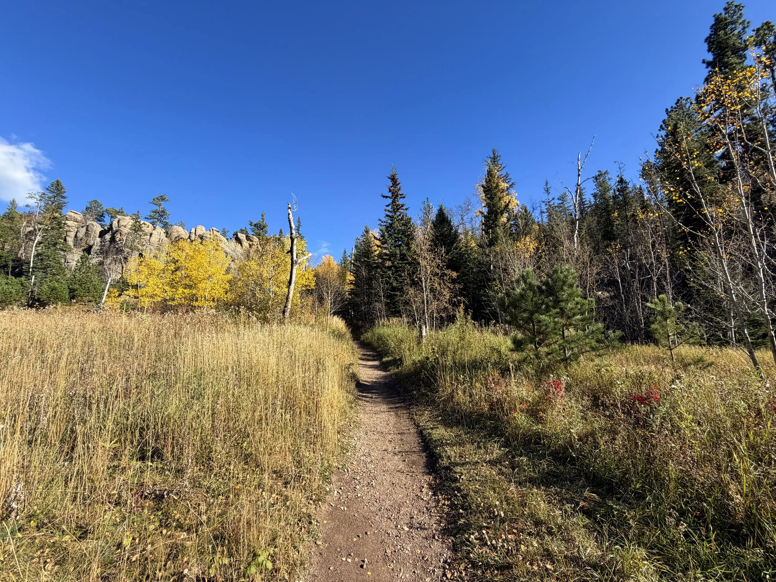 Little Devils Tower Hike Custer State Park Black Hills South Dakota