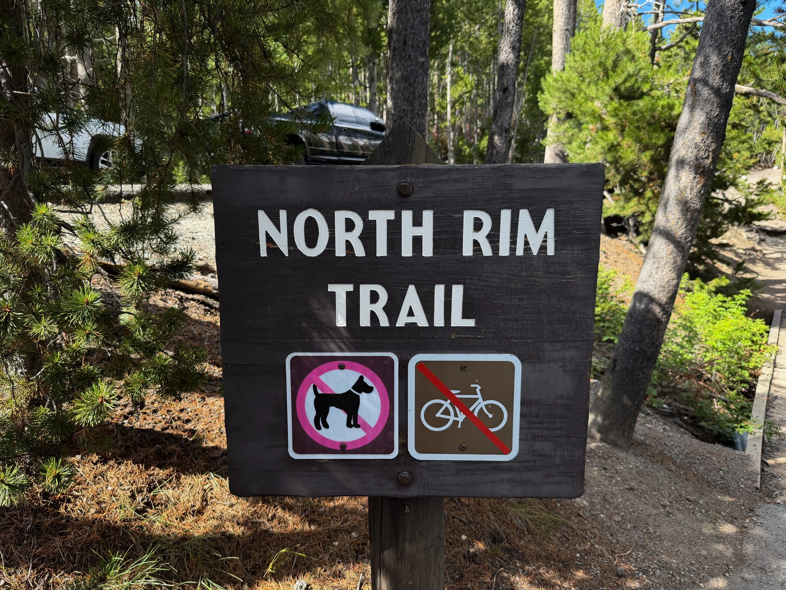 North Rim Trail Yellowstone National Park Wyoming