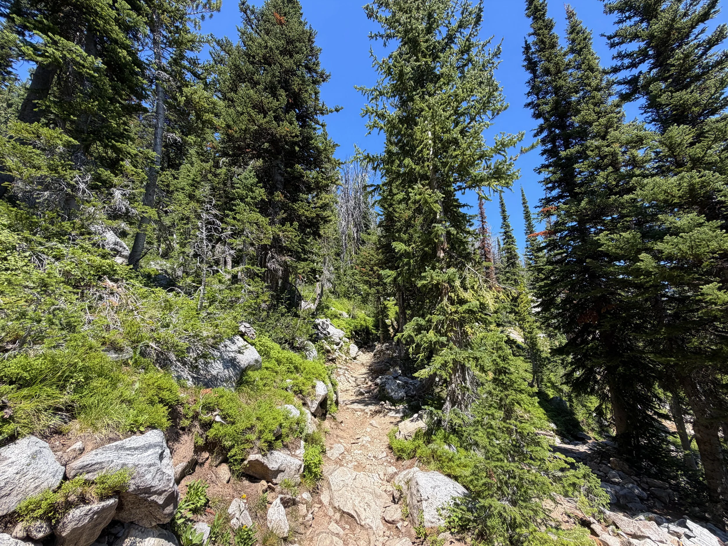 Surprise and Amphitheater Lakes Hike Grand Teton National Park Wyoming