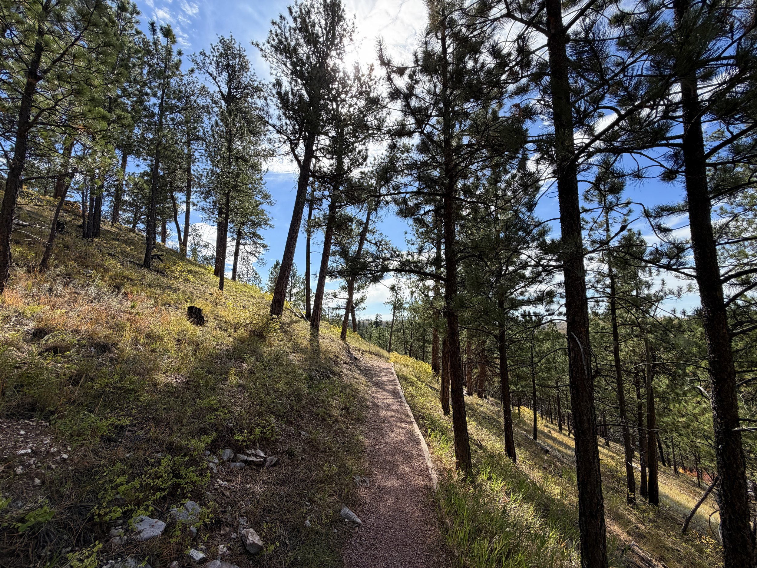 Canyons Trail Switchbacks Jewel Cave National Monument Black Hills South Dakota