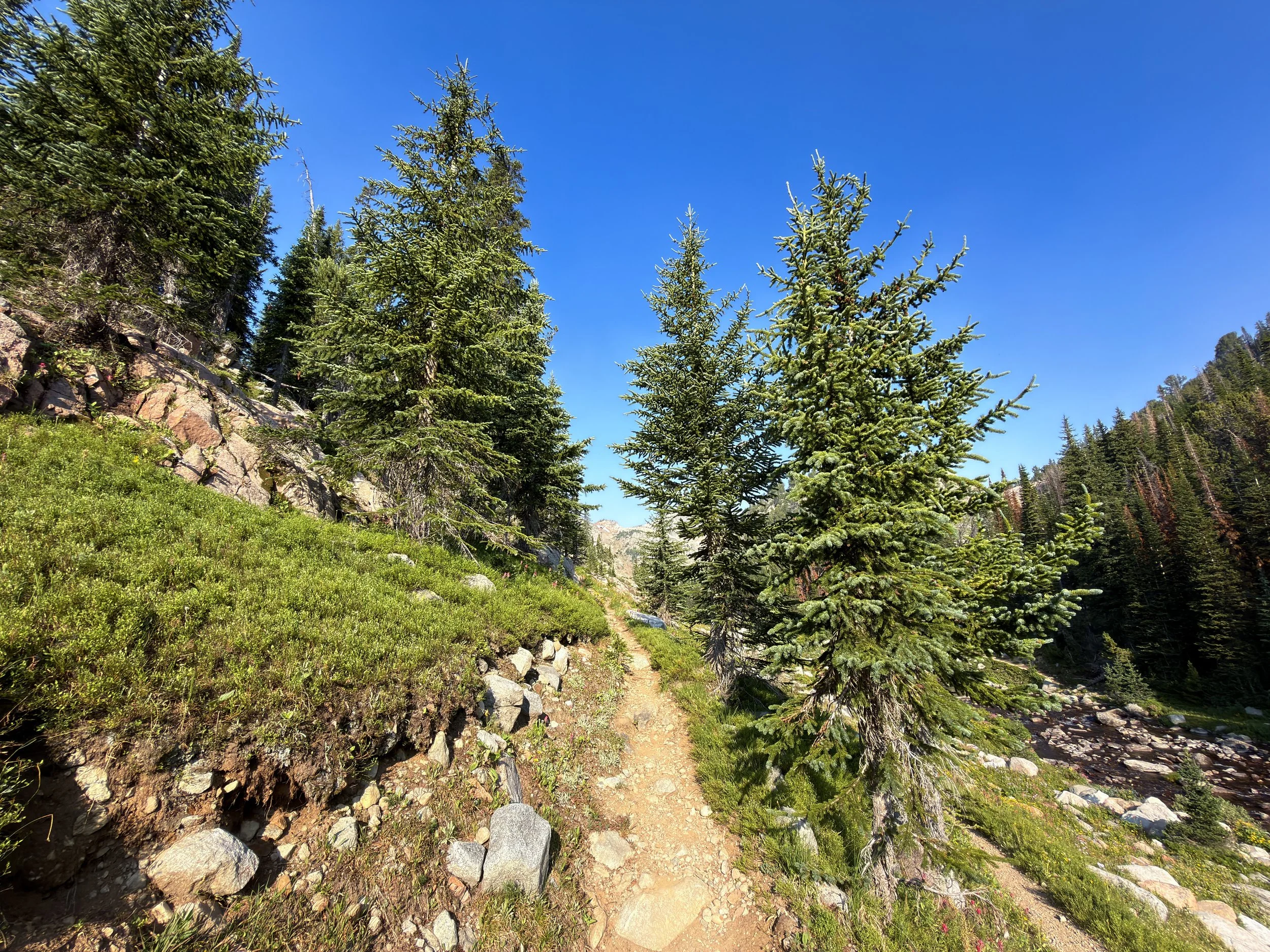 Beaten Path Hike Beartooth Mountains Montana