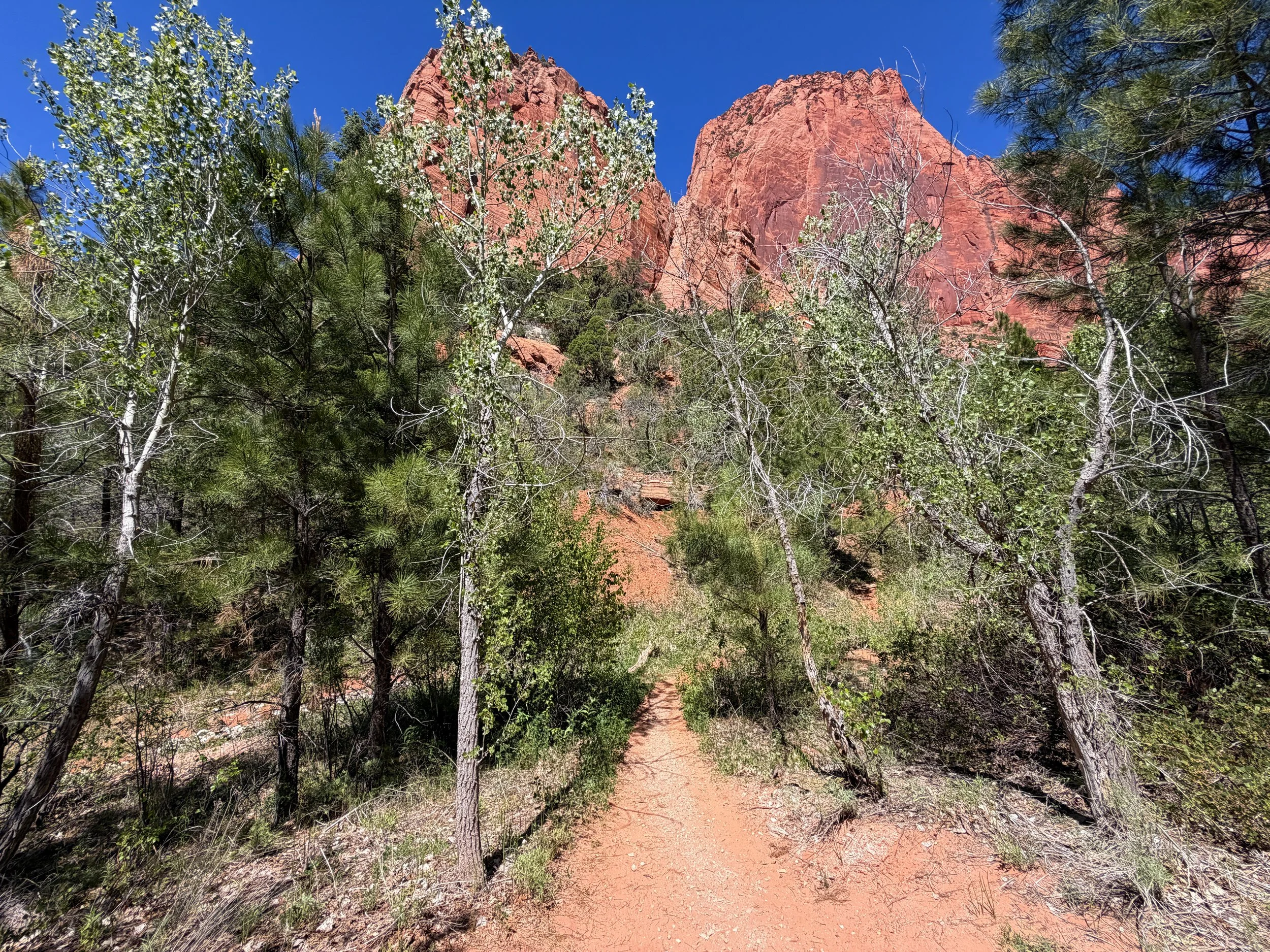 Taylor Creek Trail Zion National Park Utah