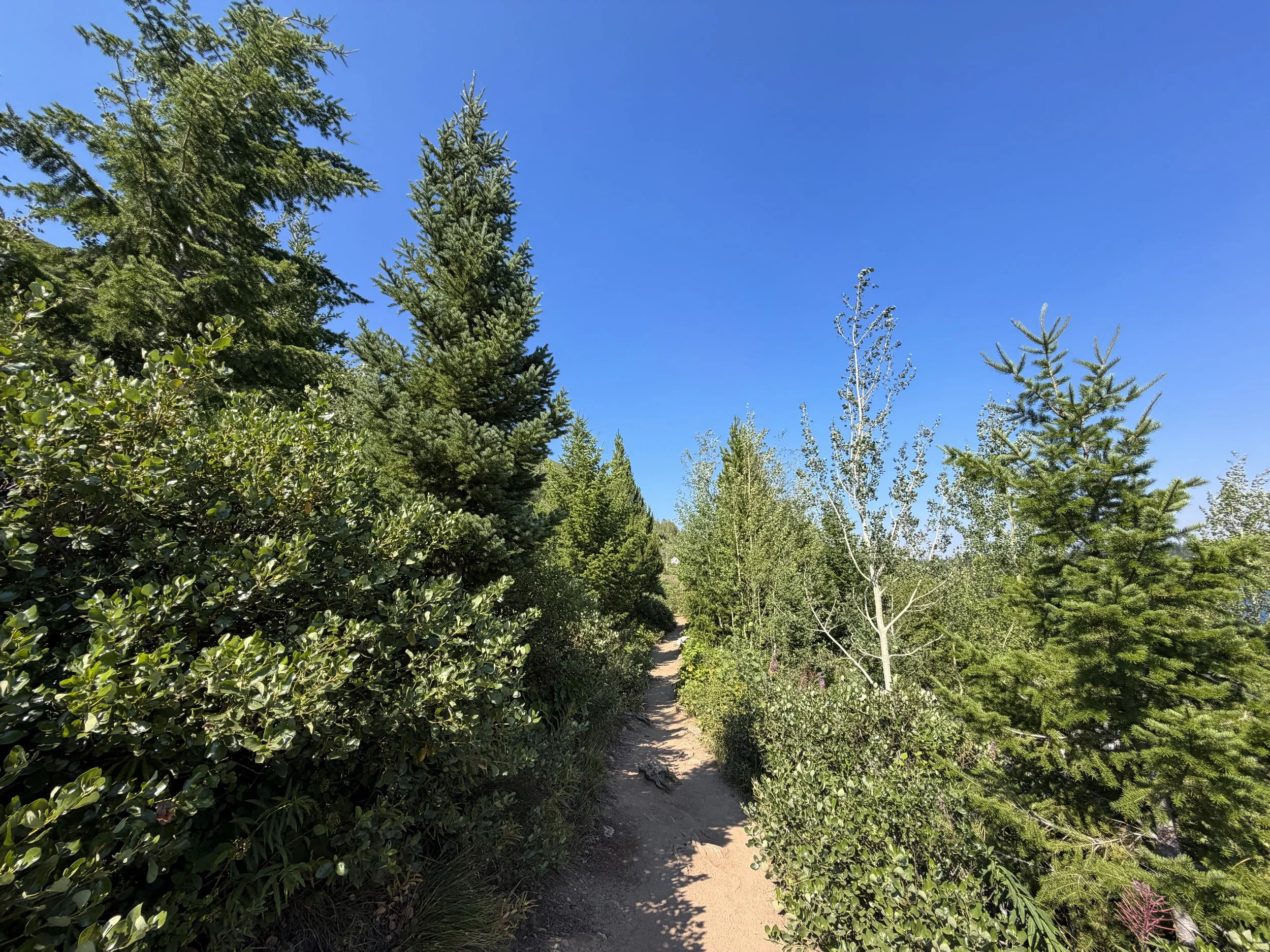 Jenny Lake Loop Trail Grand Teton National Park Wyoming