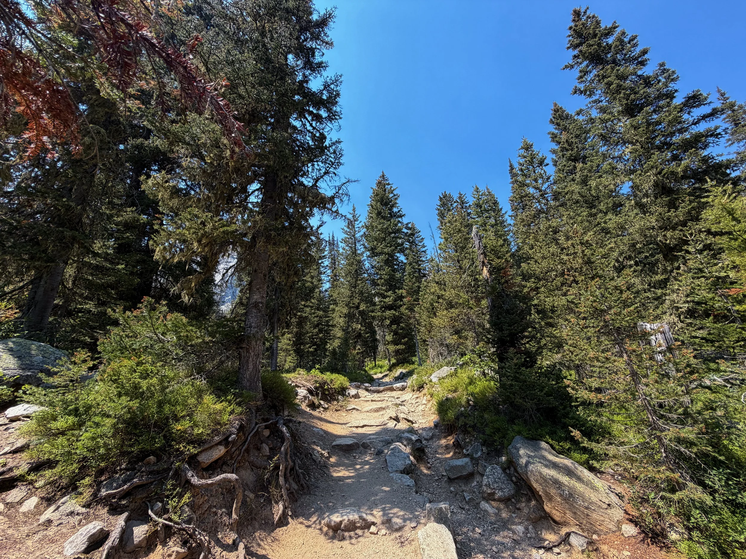 Cascade Canyon Trail Grand Teton National Park Wyoming