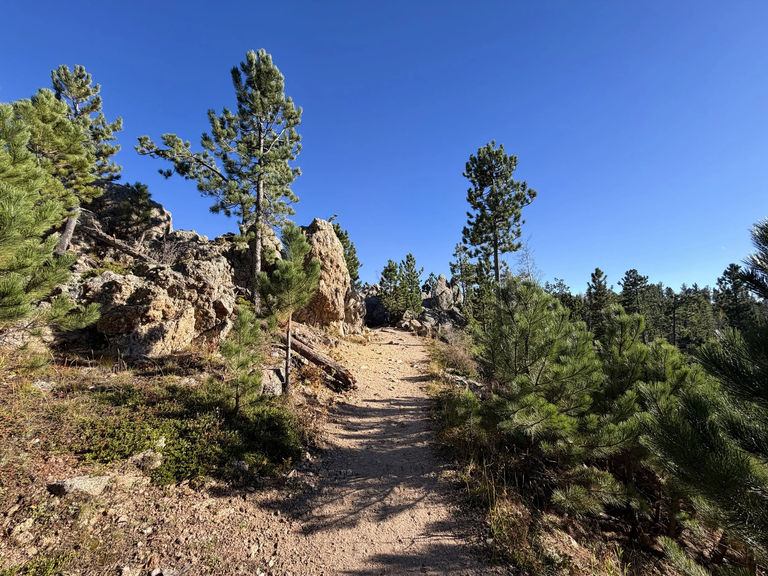 Little Devils Tower Trail Custer State Park Black Hills South Dakota