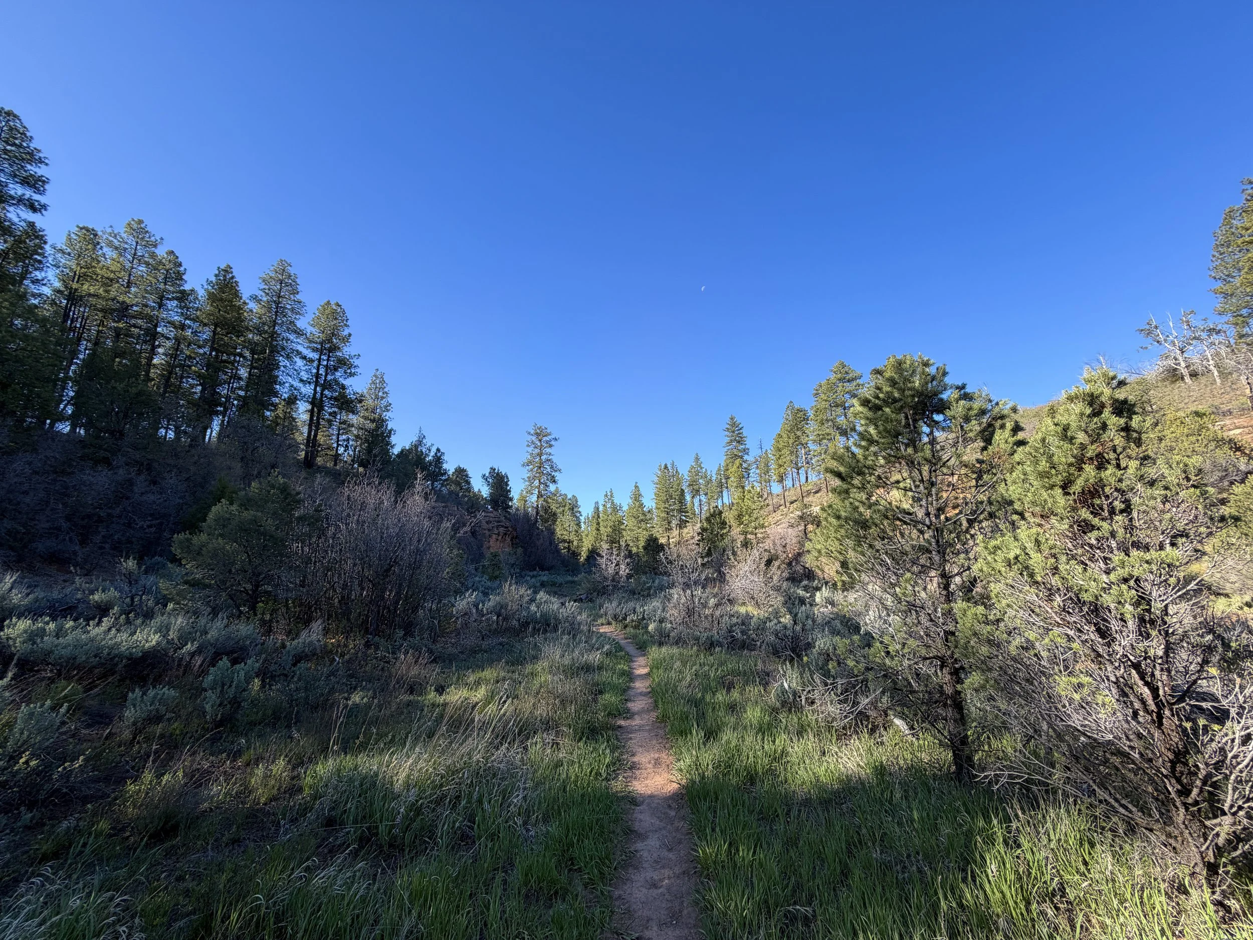 Deertrap Mountain Trail Zion National Park Utah