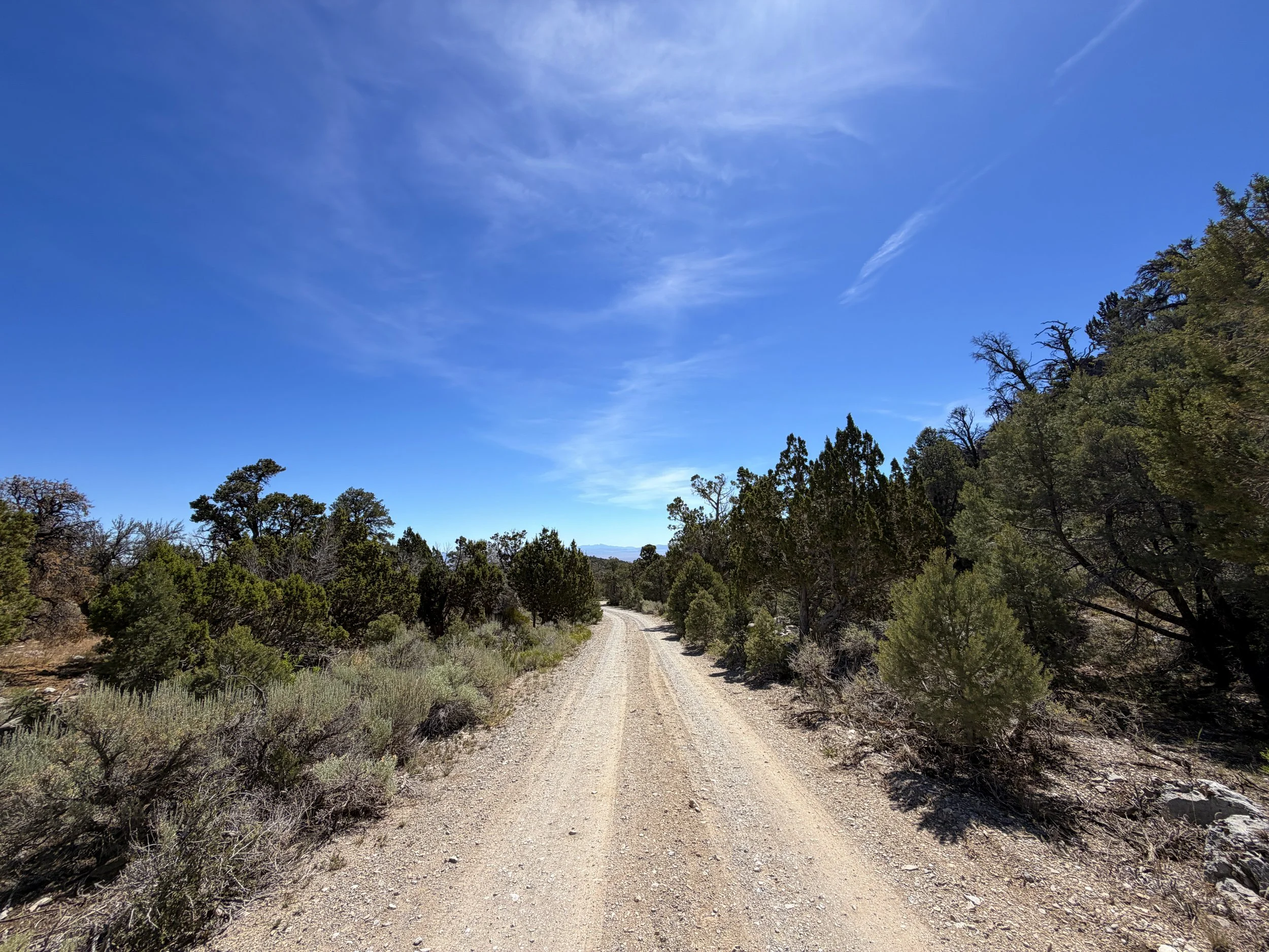 Grey Cliffs Campground Pole Canyon Trail Great Basin National Park Nevada