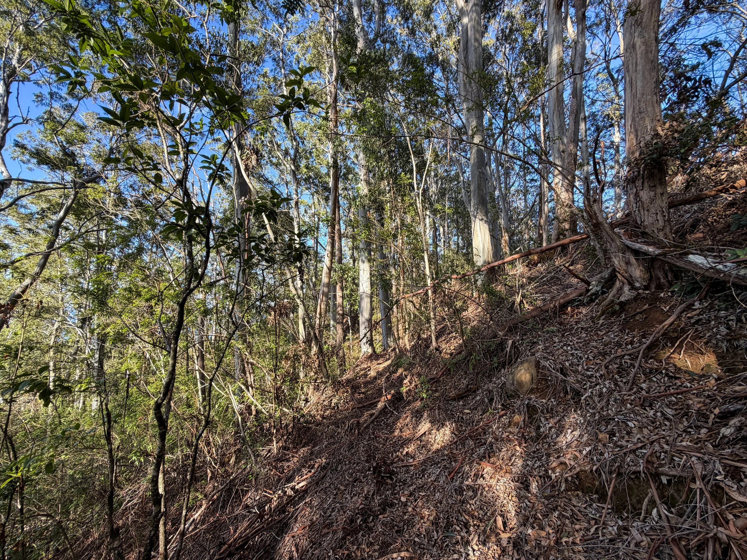 Mokuleia Trail Oahu Hawaii