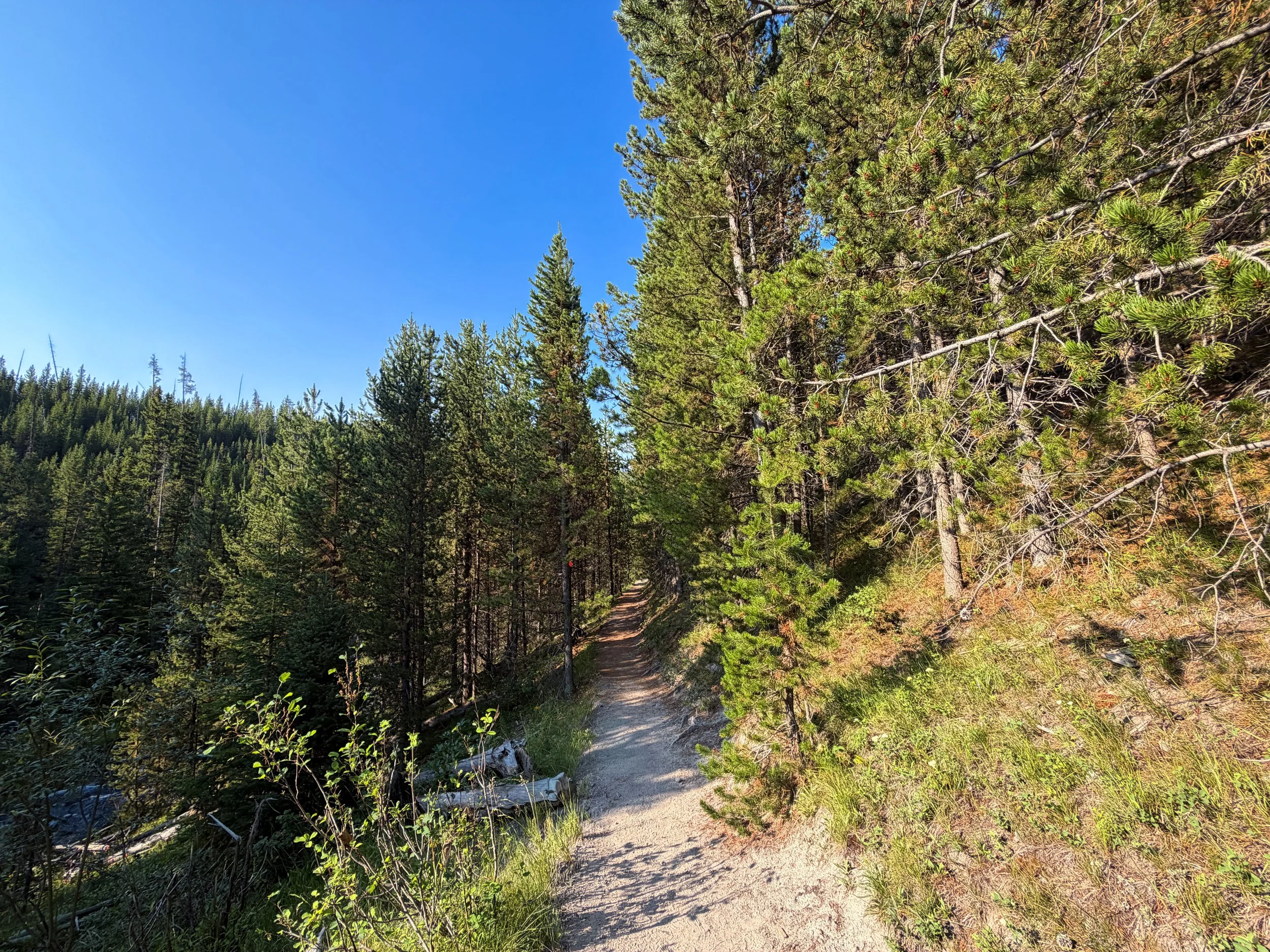 Mystic Falls Loop Trail Yellowstone National Park Wyoming