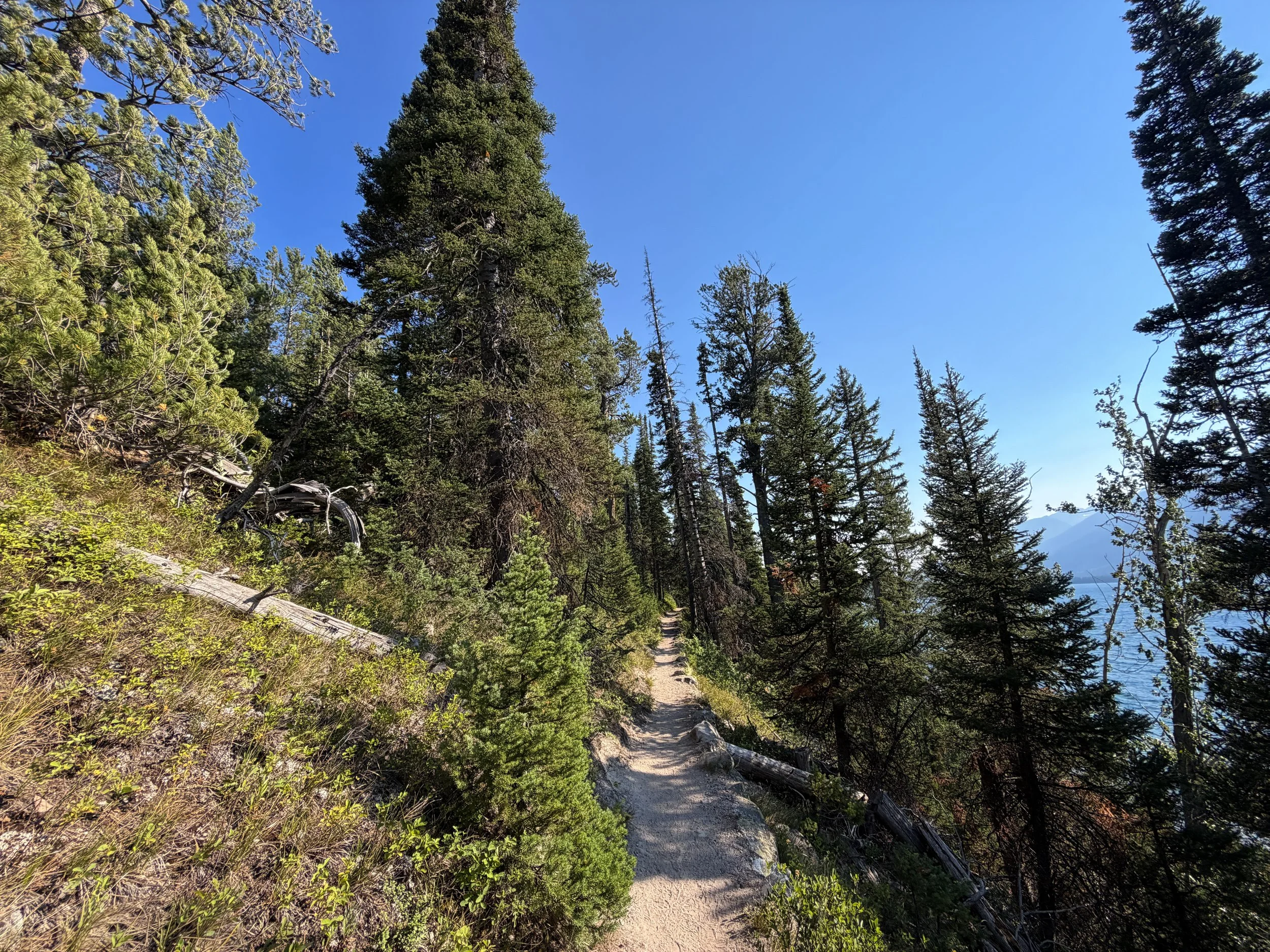 Jenny Lake Loop Trail Grand Teton National Park Wyoming