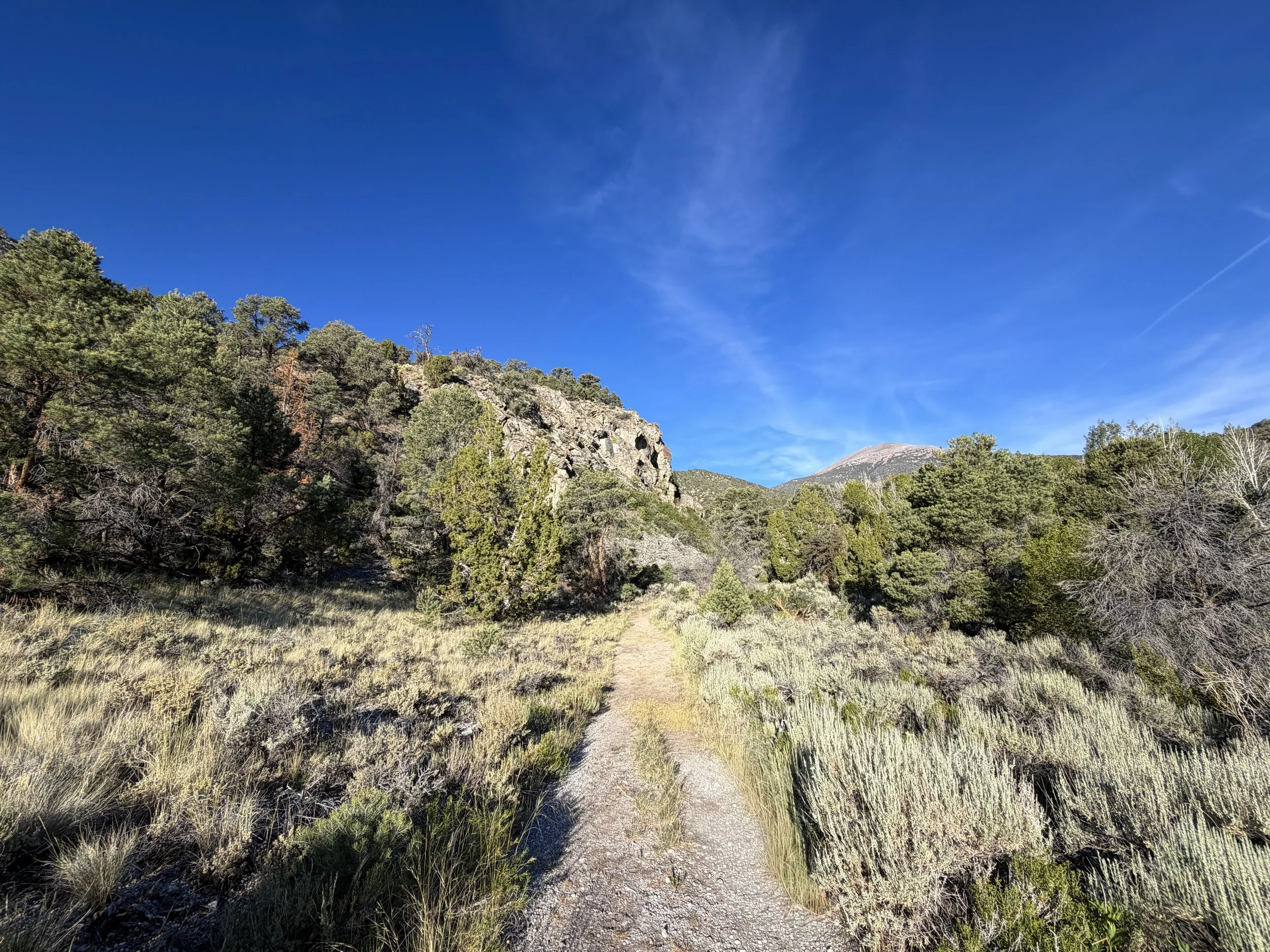 Pole Canyon Trail Great Basin National Park Nevada