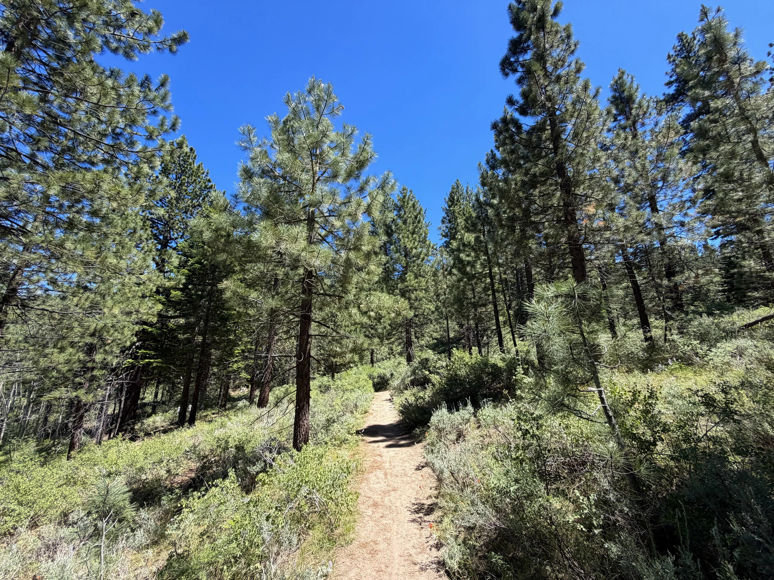 Spooner Lake Trail Lake Tahoe Nevada