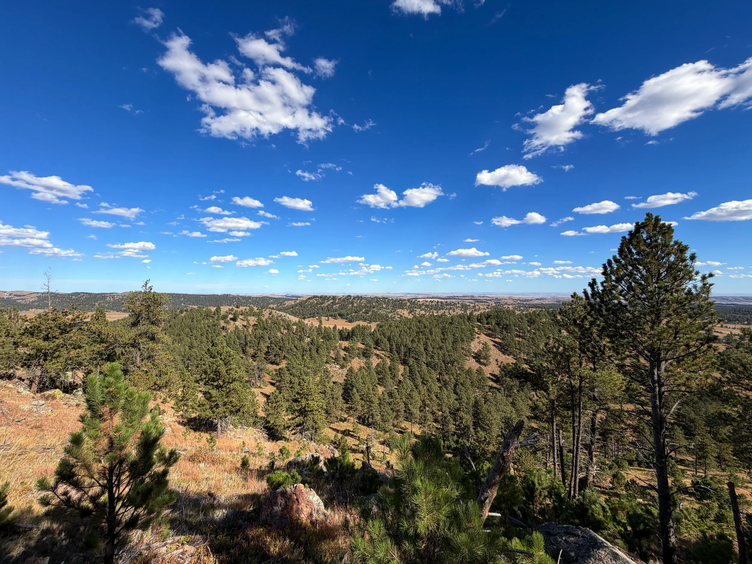 Rankin Ridge Nature Hike Wind Cave National Park South Dakota