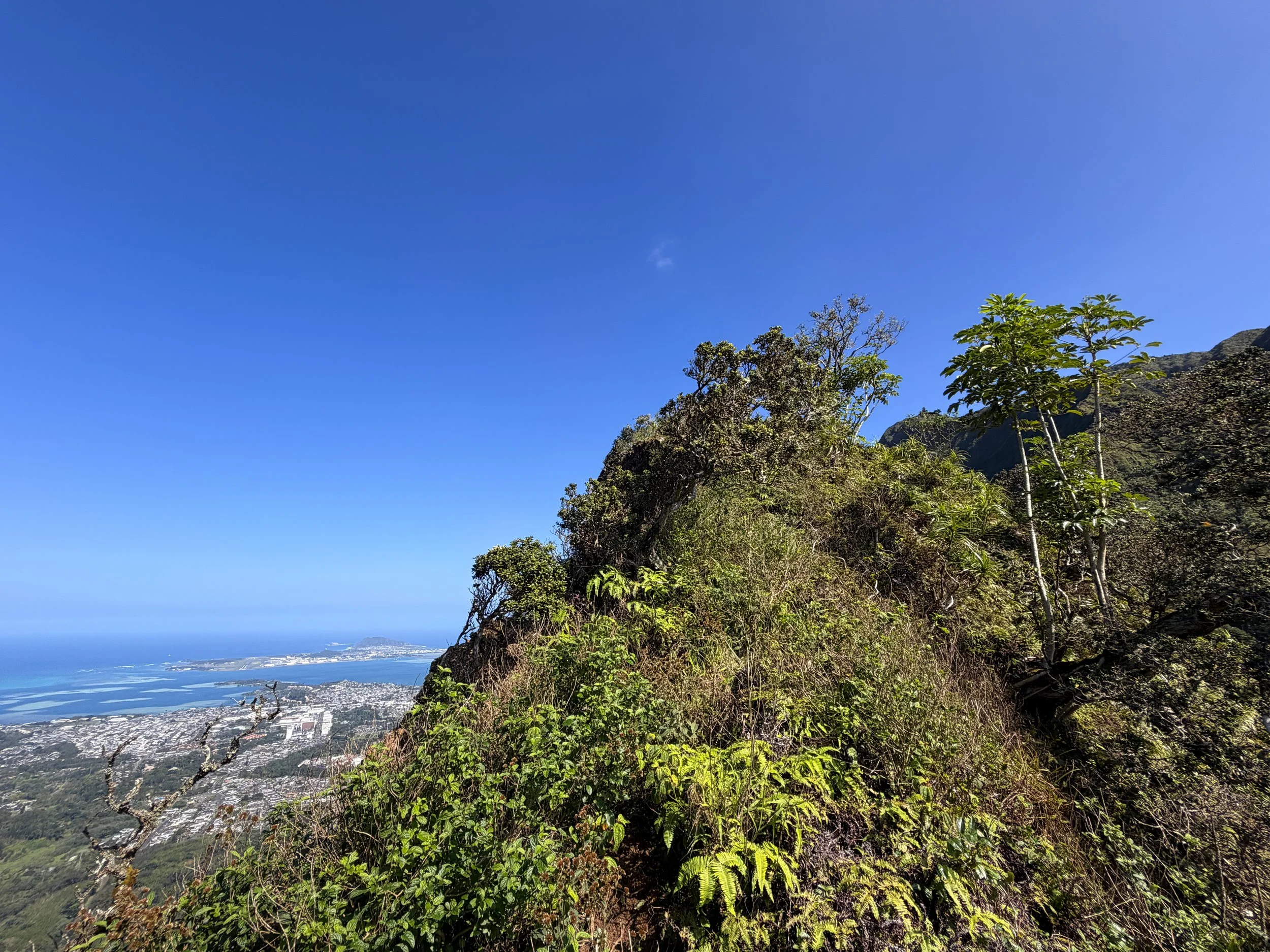 Moanalua Saddle Koolau Summit Trail Oahu Hawaii