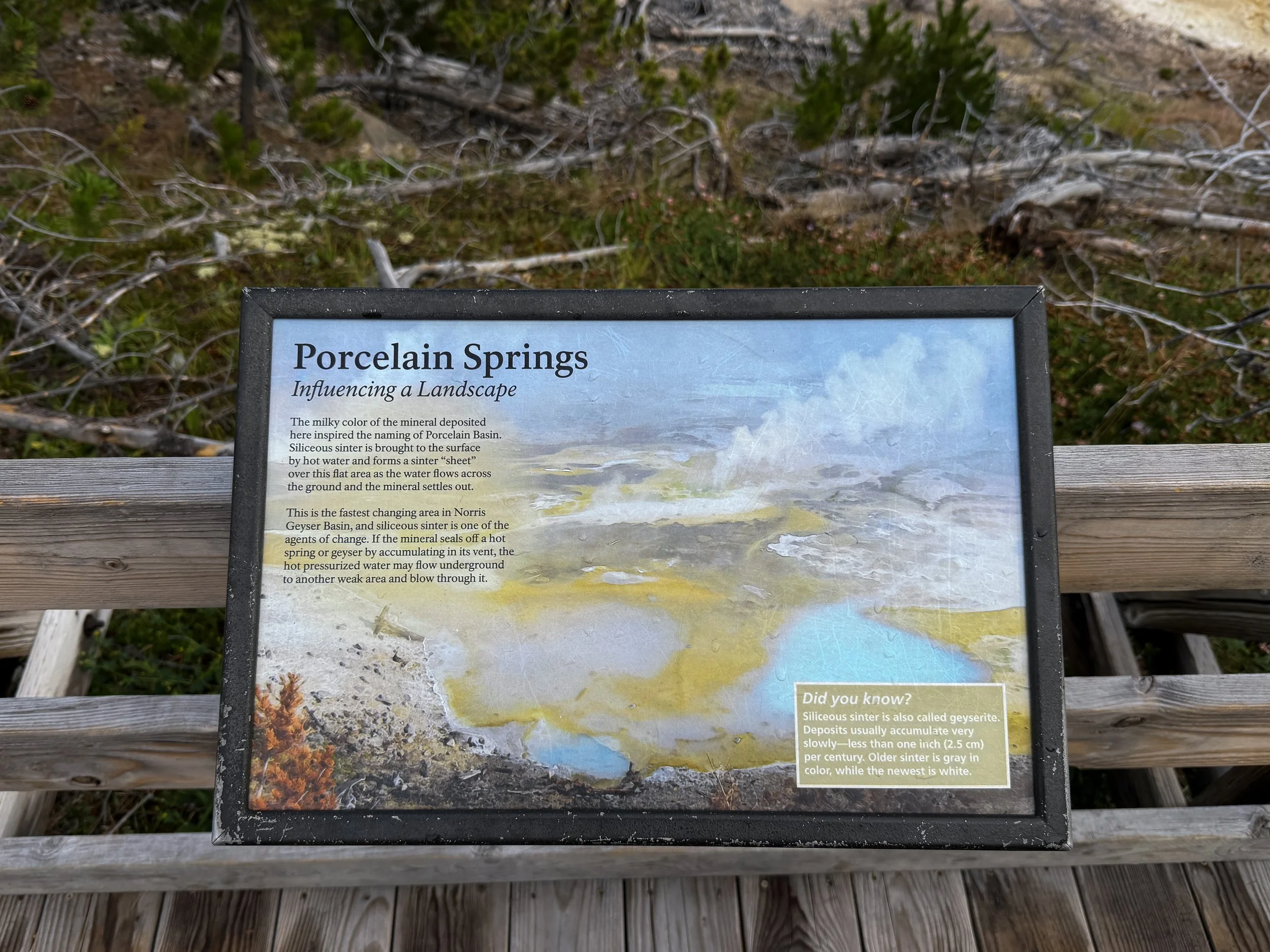 Porcelain Springs Norris Geyser Basin Trail Yellowstone National Park Wyoming