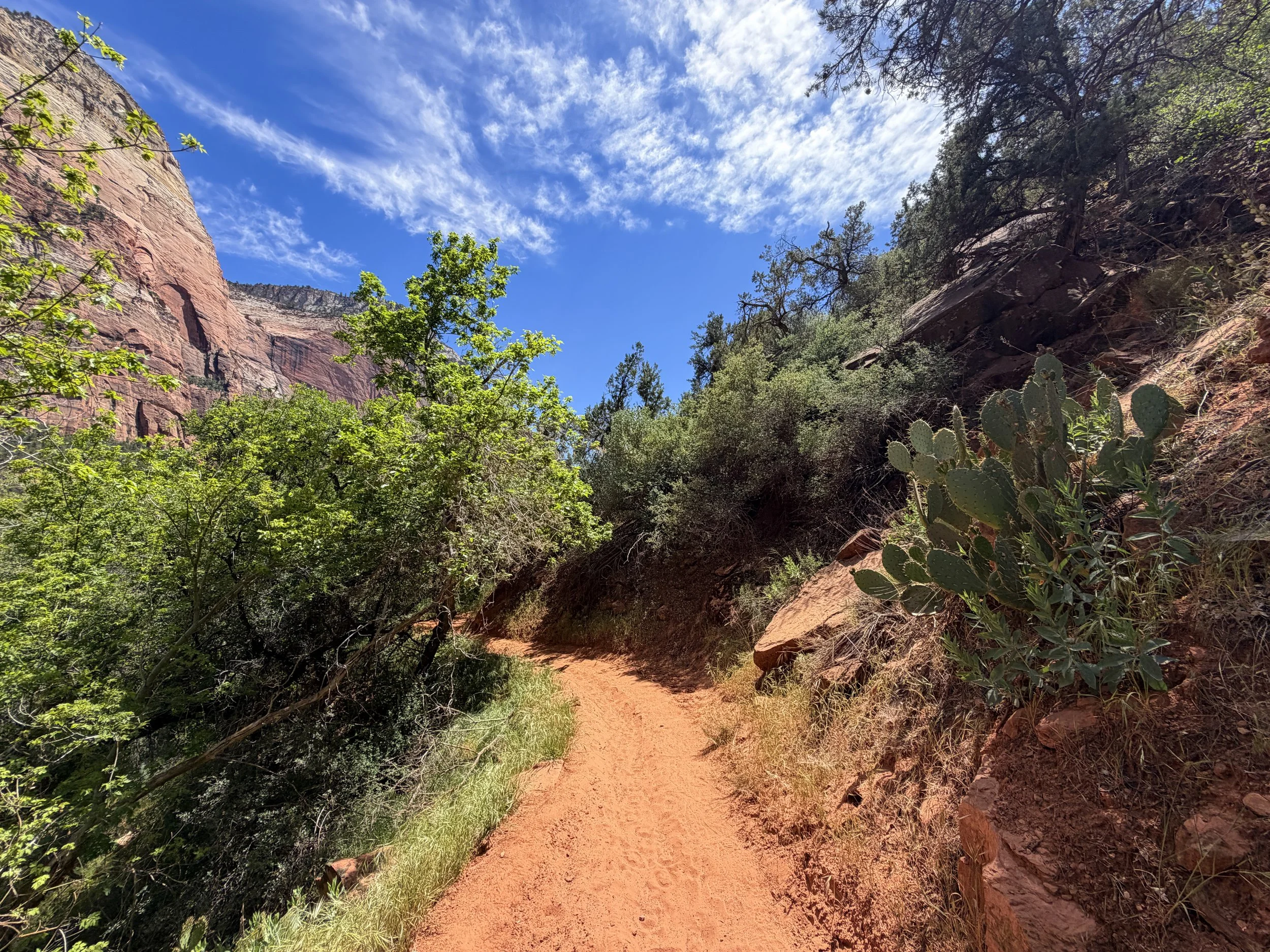 Sand Bench Trail Zion National Park Utah