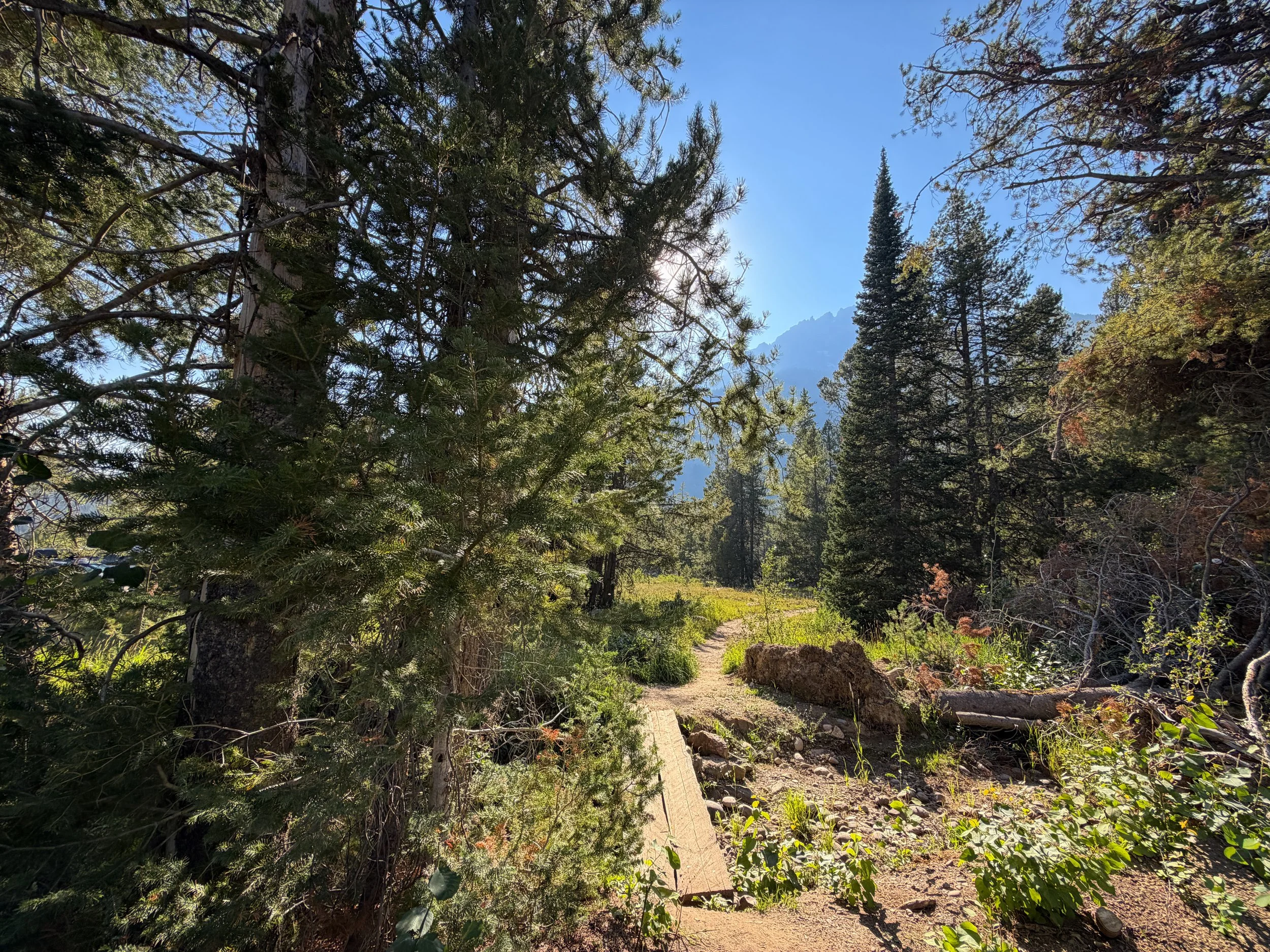 Moose Ponds Loop Trail Grand Teton National Park Wyoming