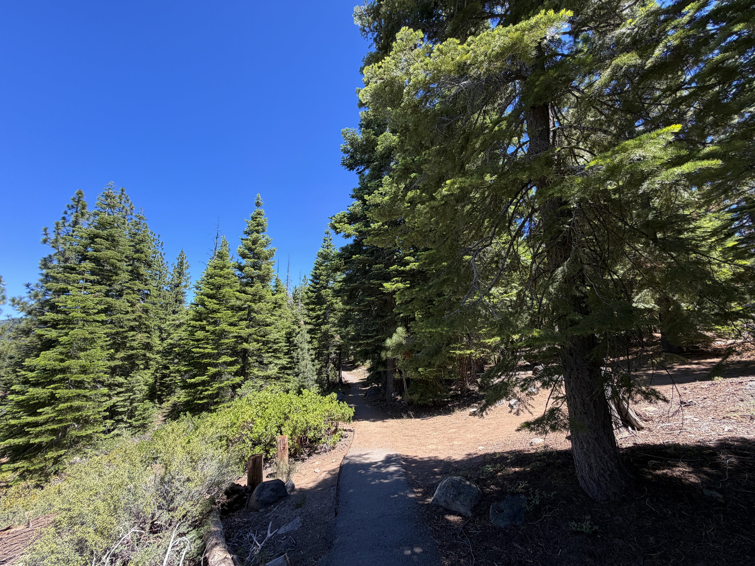 Stateline Fire Lookout Trail Lake Tahoe California