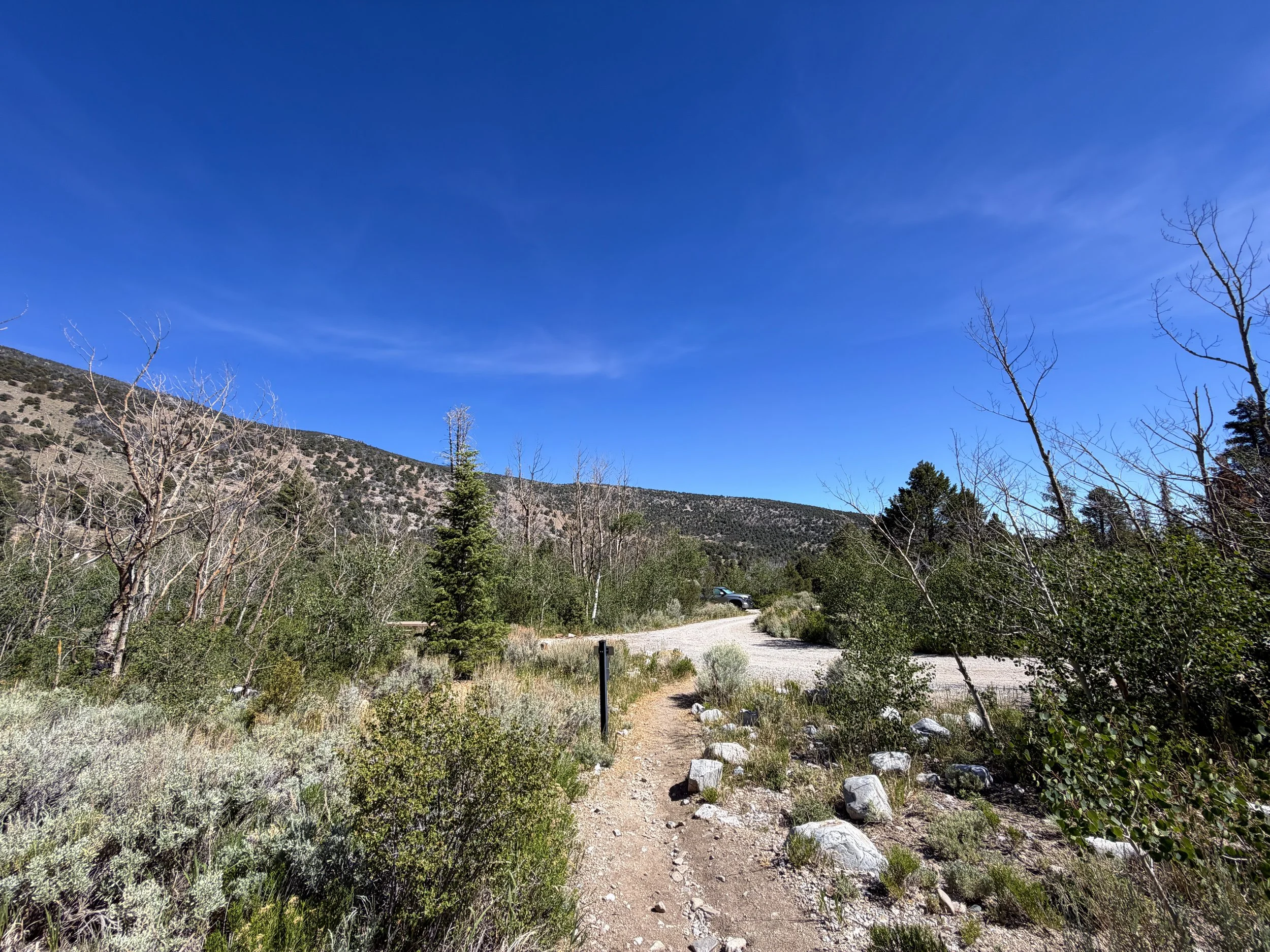 Baker Creek Campground Pole Canyon Loop Trail Great Basin National Park Nevada
