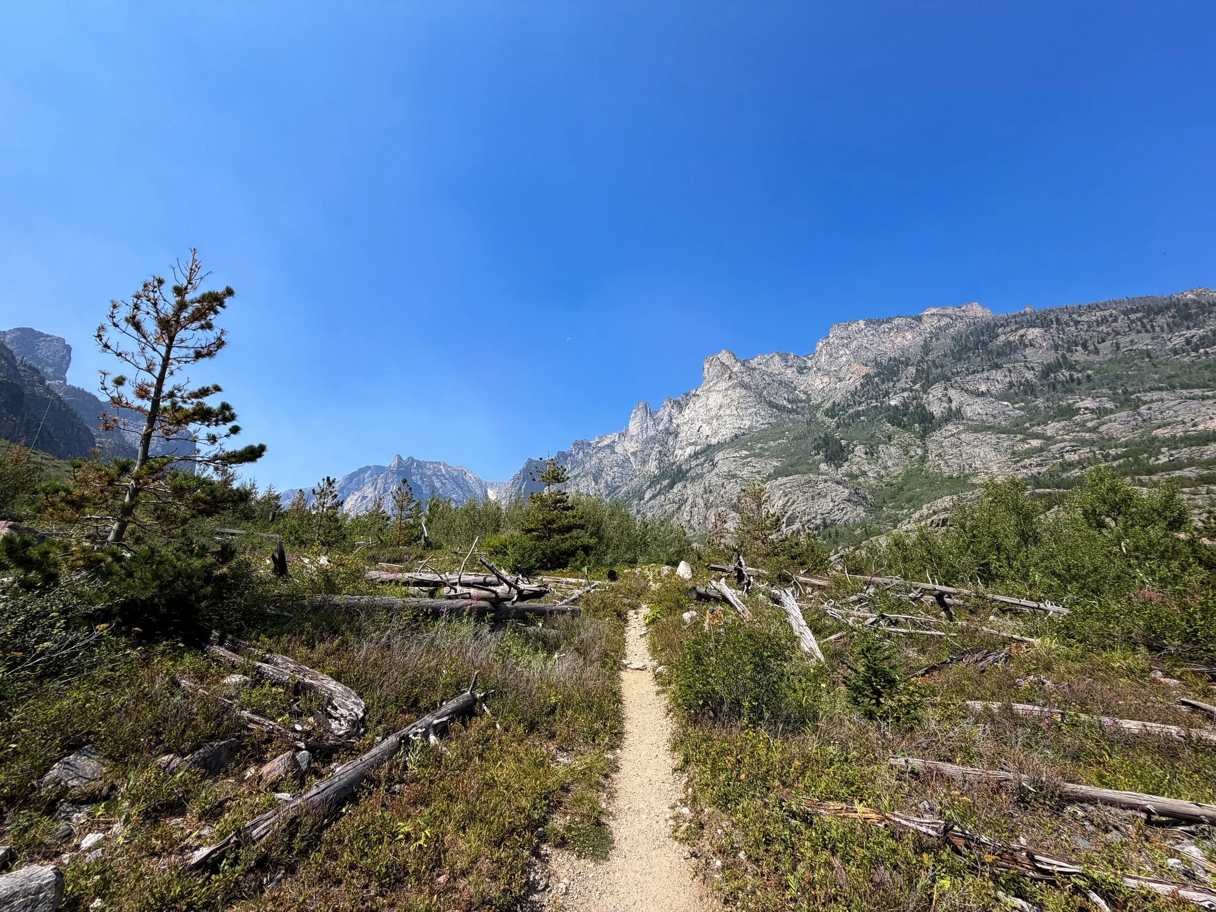 Beaten Path Hike Beartooth Mountains Montana